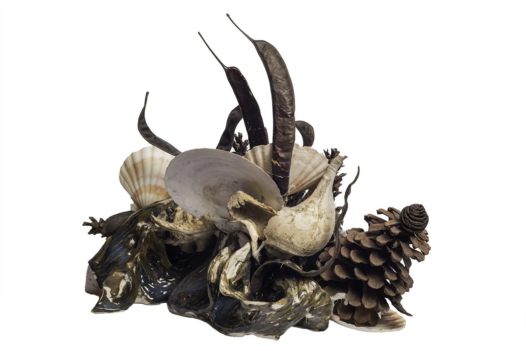 Composition with Pine Cones, Shells & Carobs (12.3)