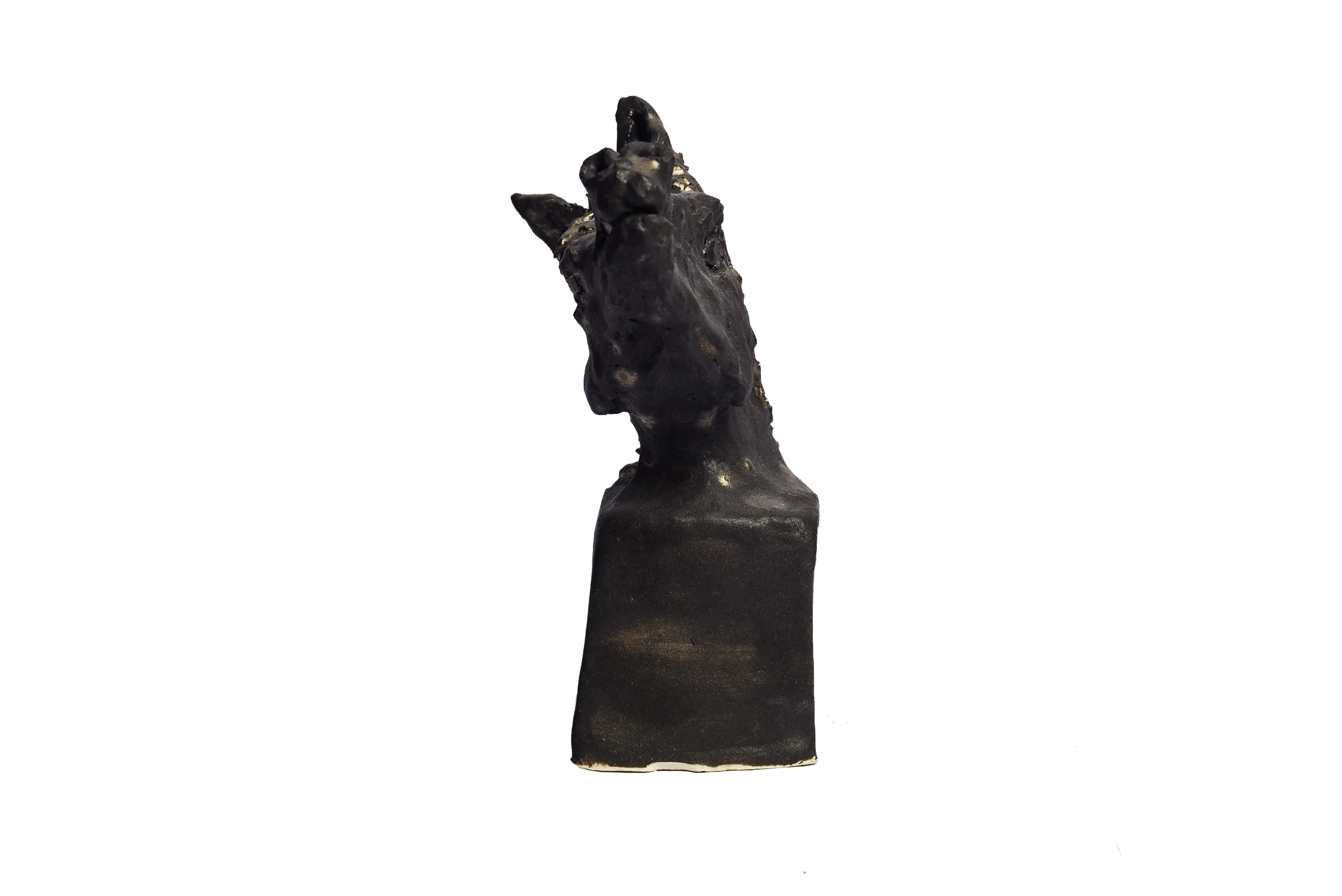 Head of Wild Horse (23.3)