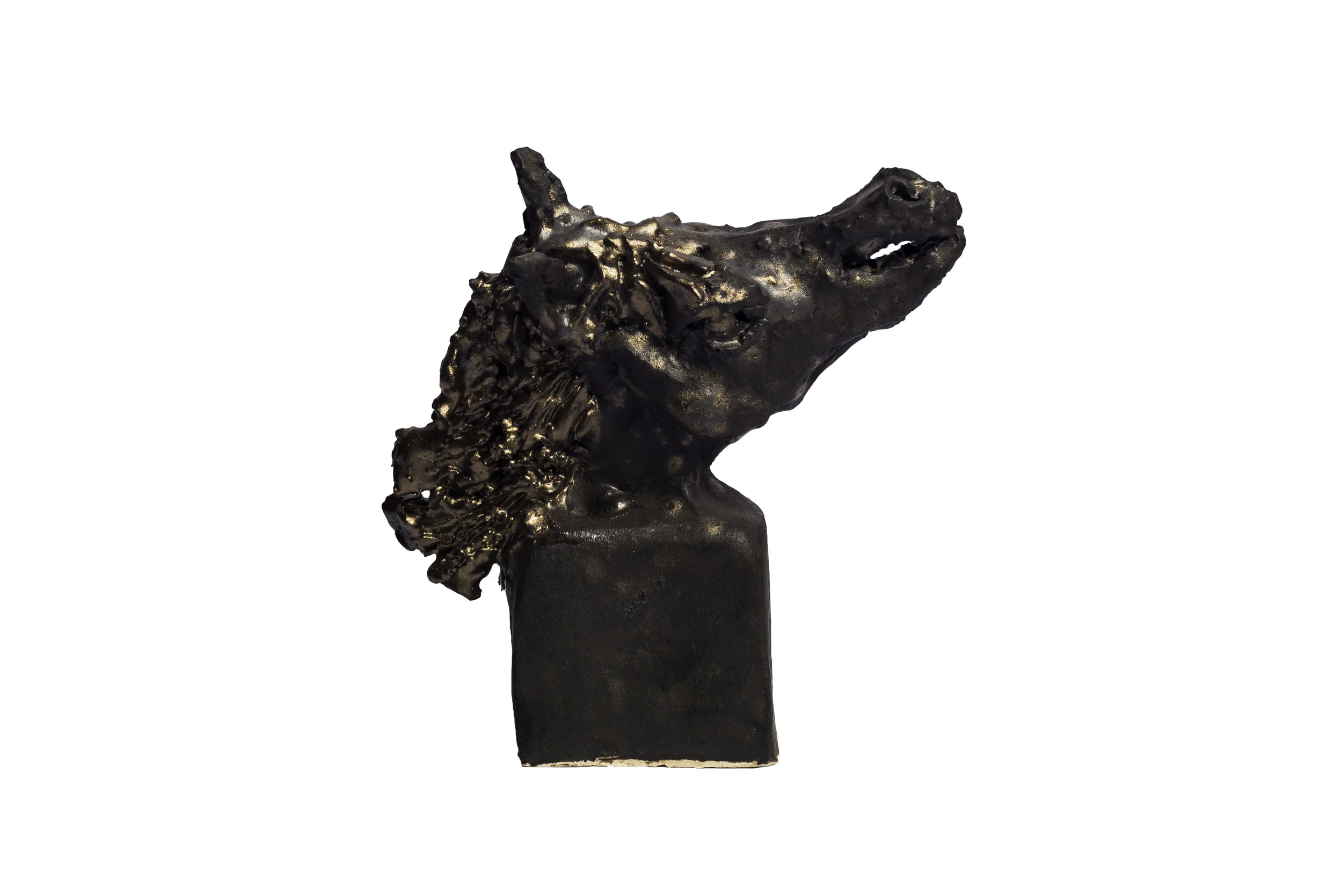 Head of Wild Horse (23.1)