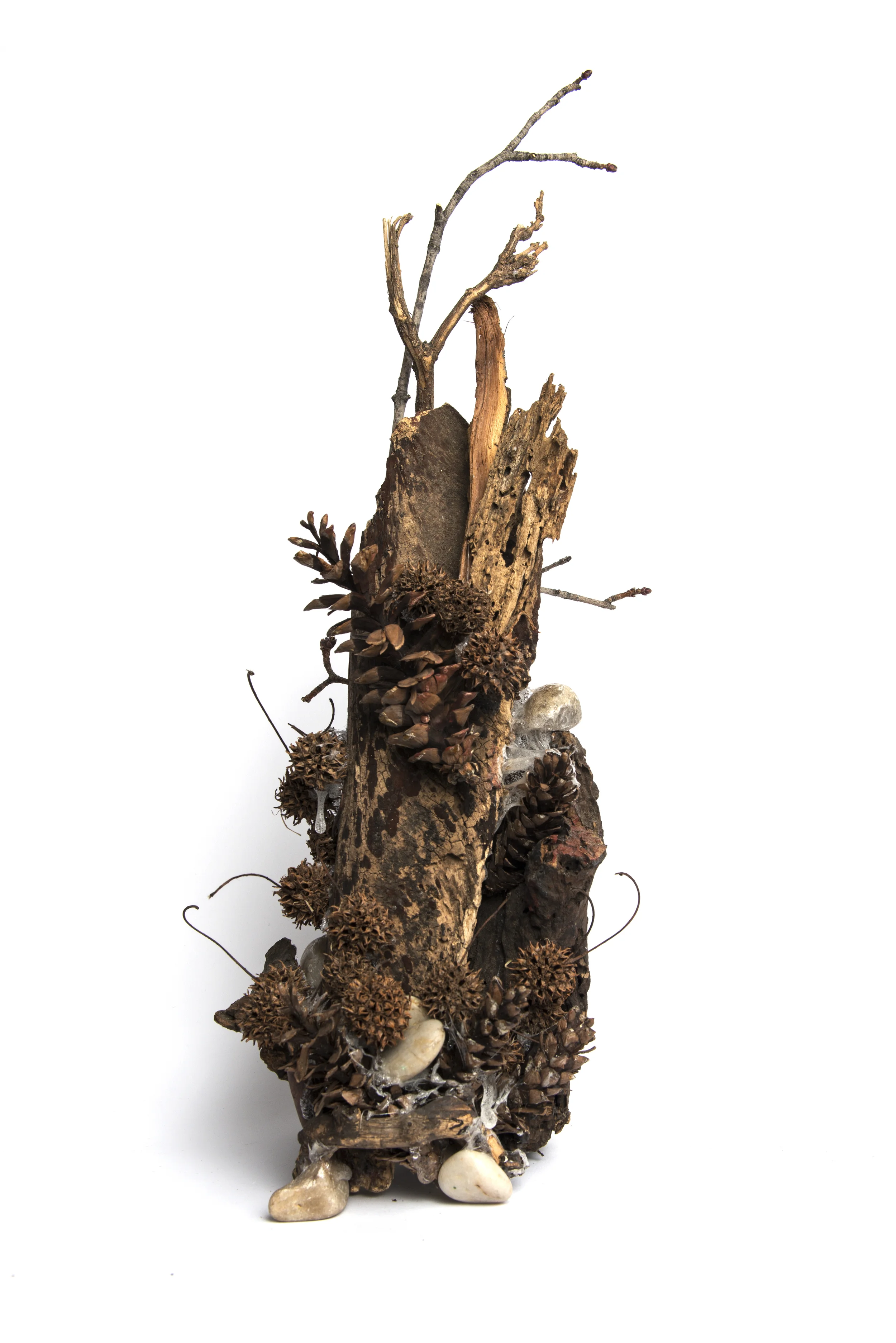 Vertical Organic Composition (83.1)