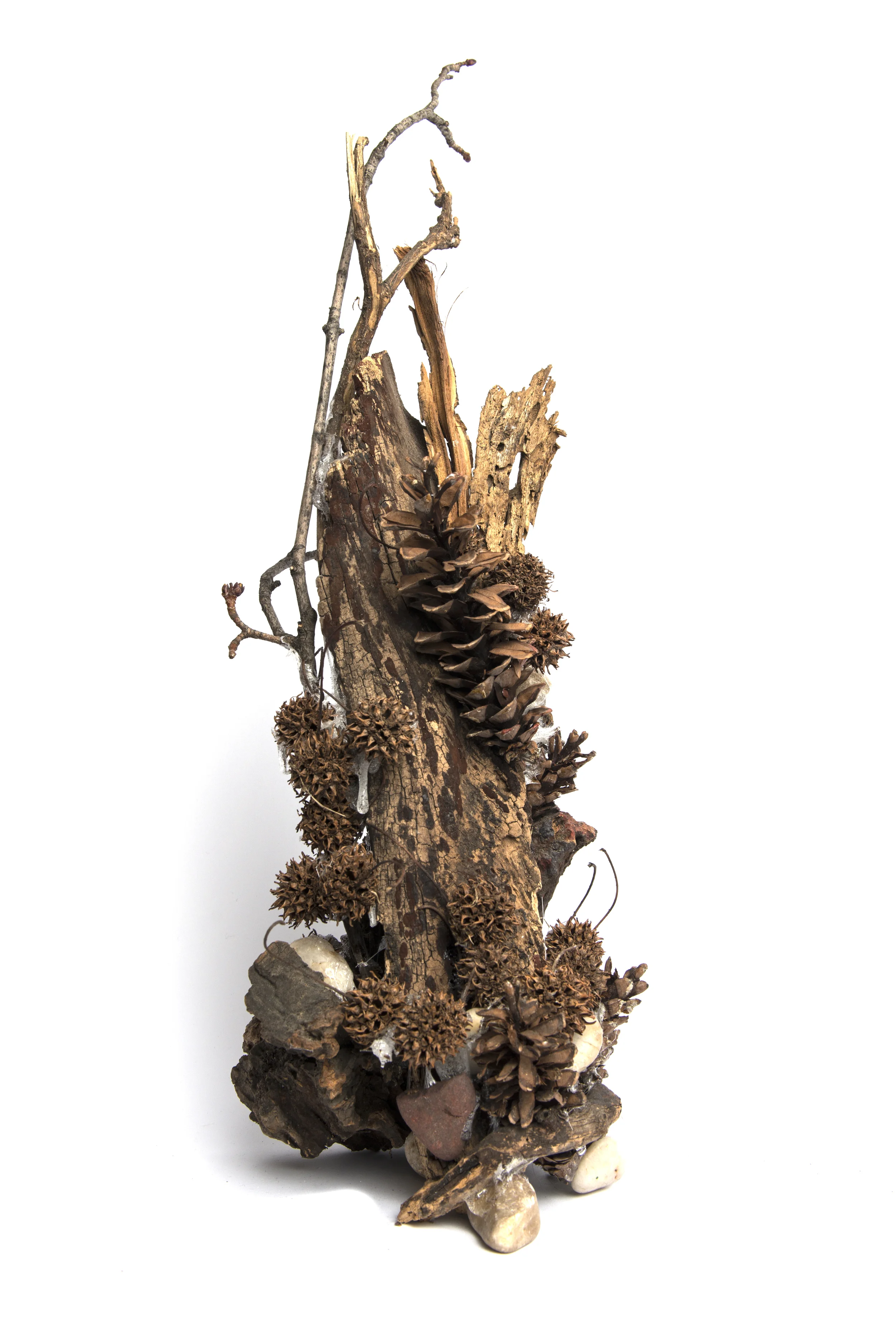 Vertical Organic Composition (83.2)