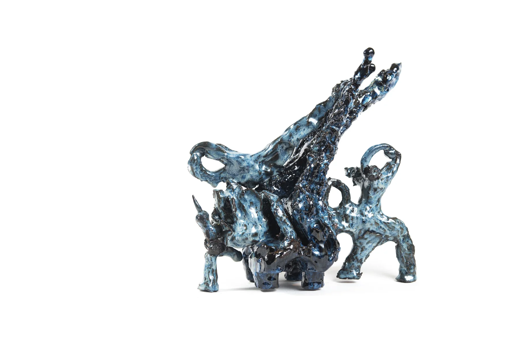 Wild Form (134.1)