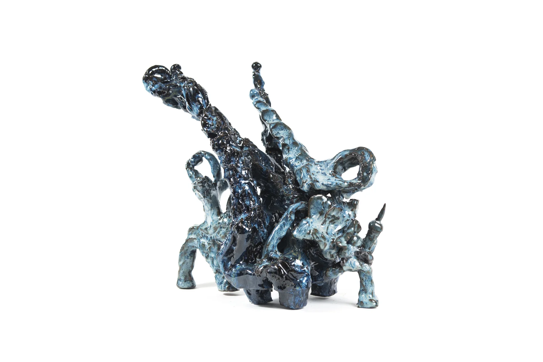 Wild Form (134.2)