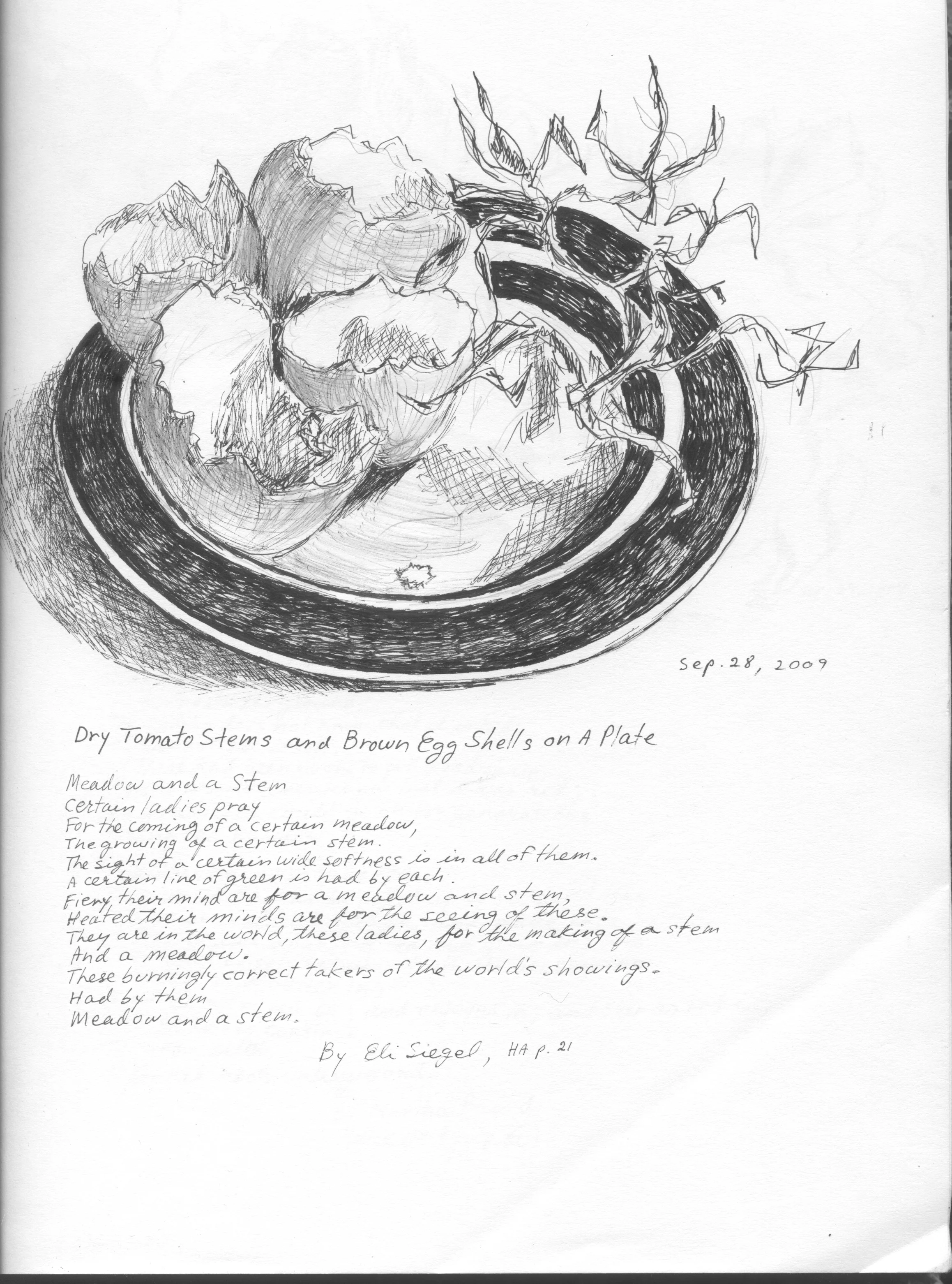 Dry Tomato Stems & Egg Shells.jpeg