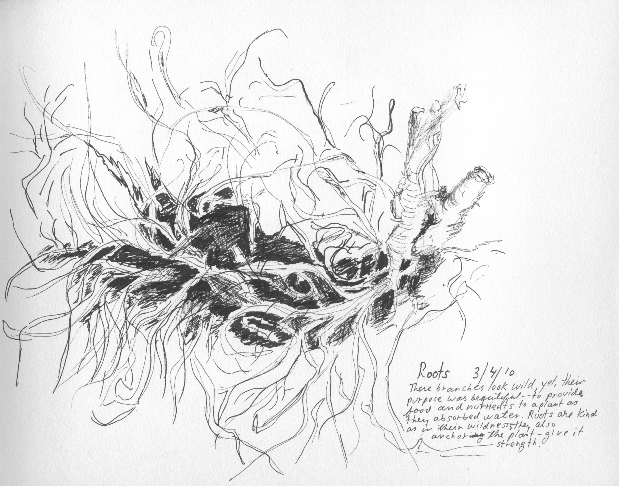 Roots.jpeg