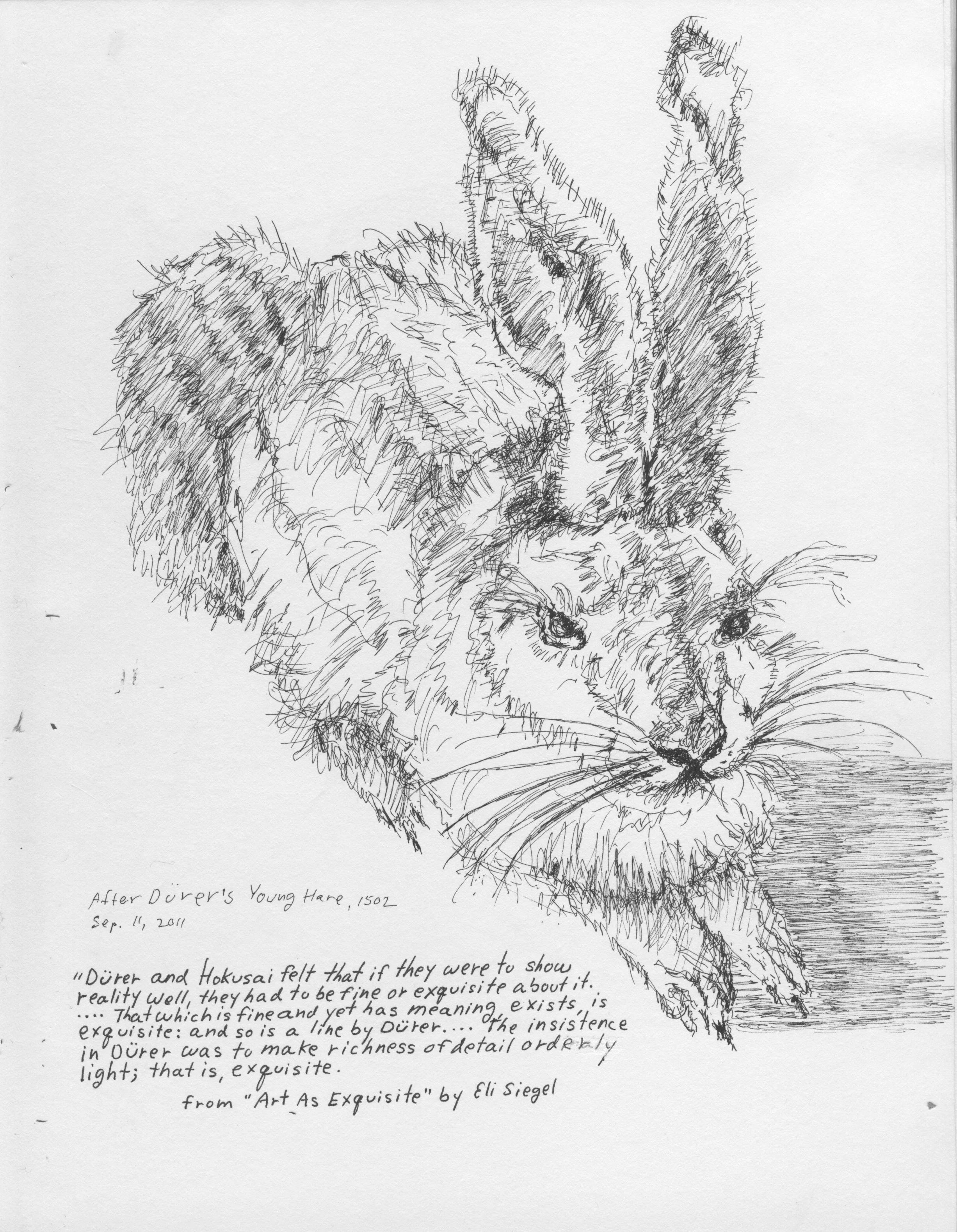 Durer's Young Hare, 1502.jpeg