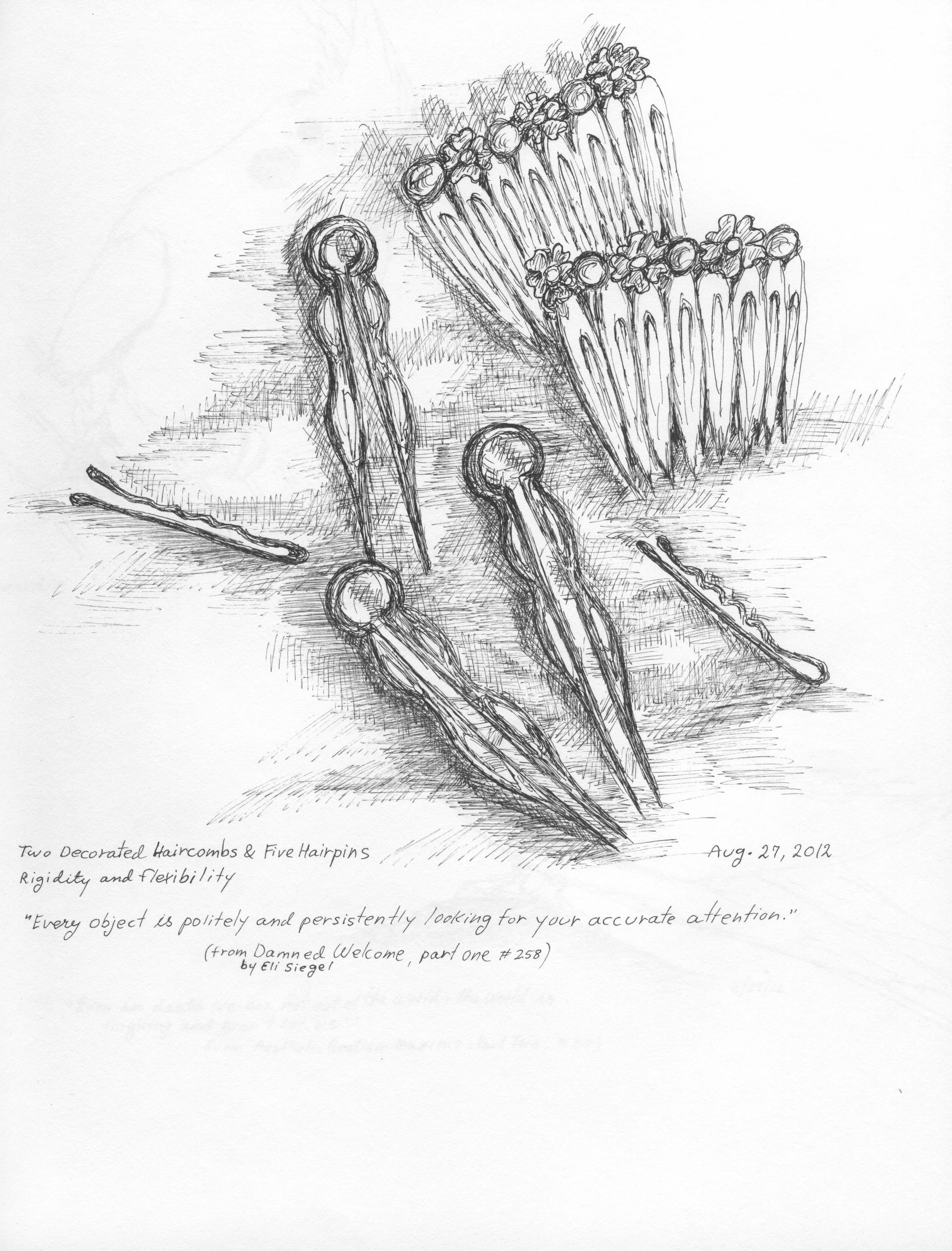 Haircombs and Hairpins.jpeg