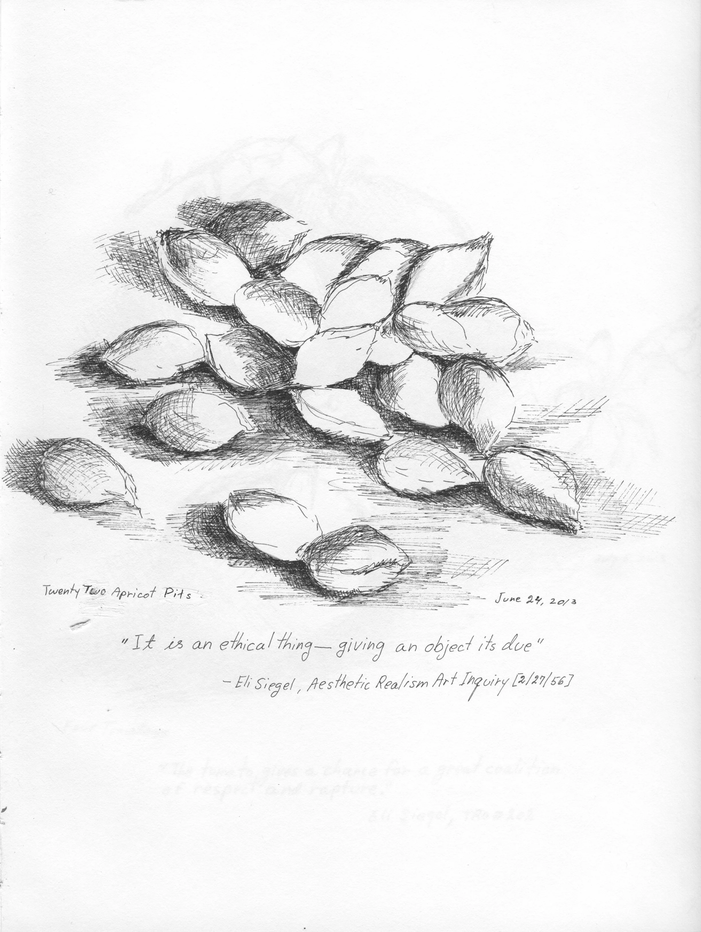 Twenty Two Apricot Pits.jpeg