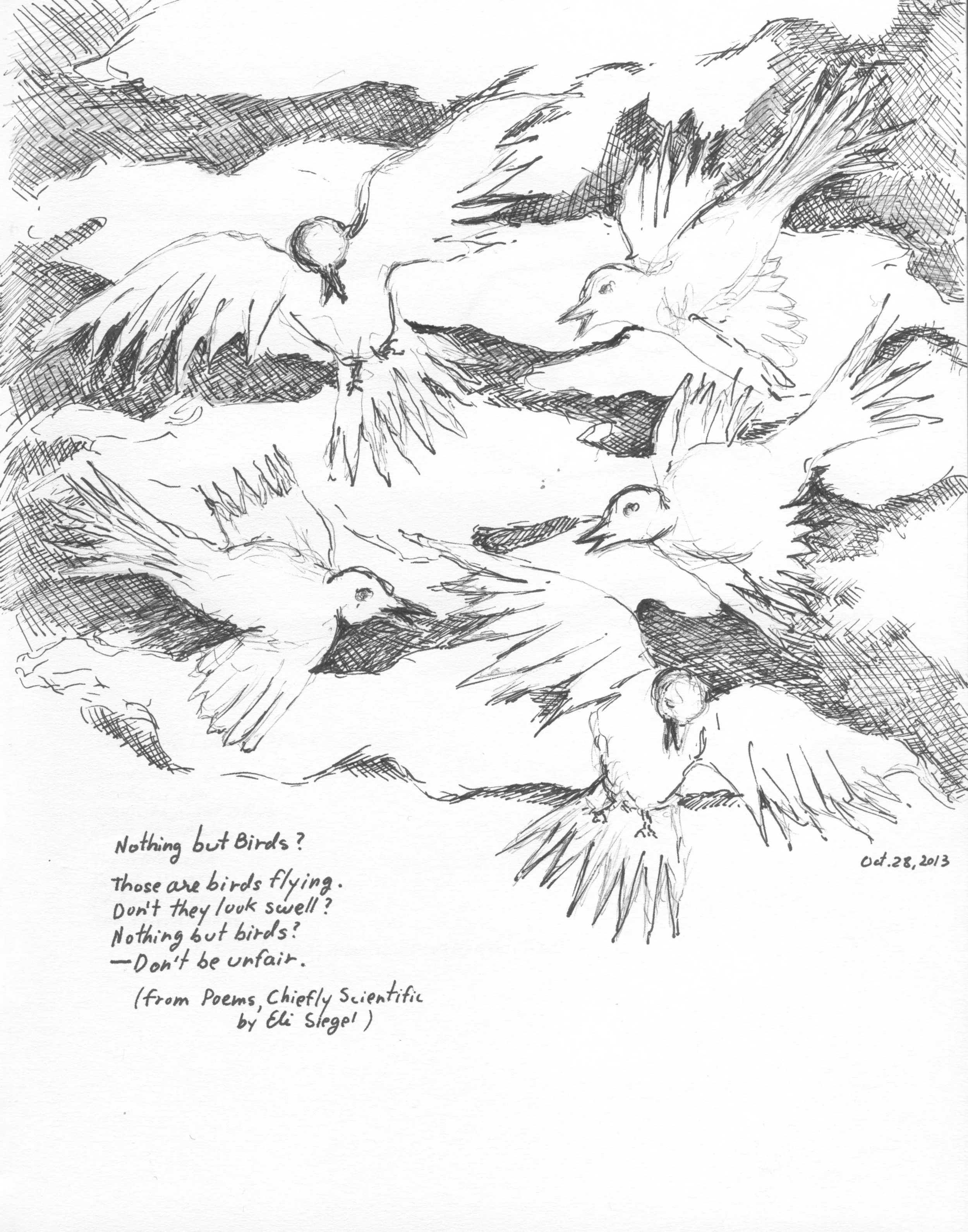 %22Nothing But Birds%22.jpeg