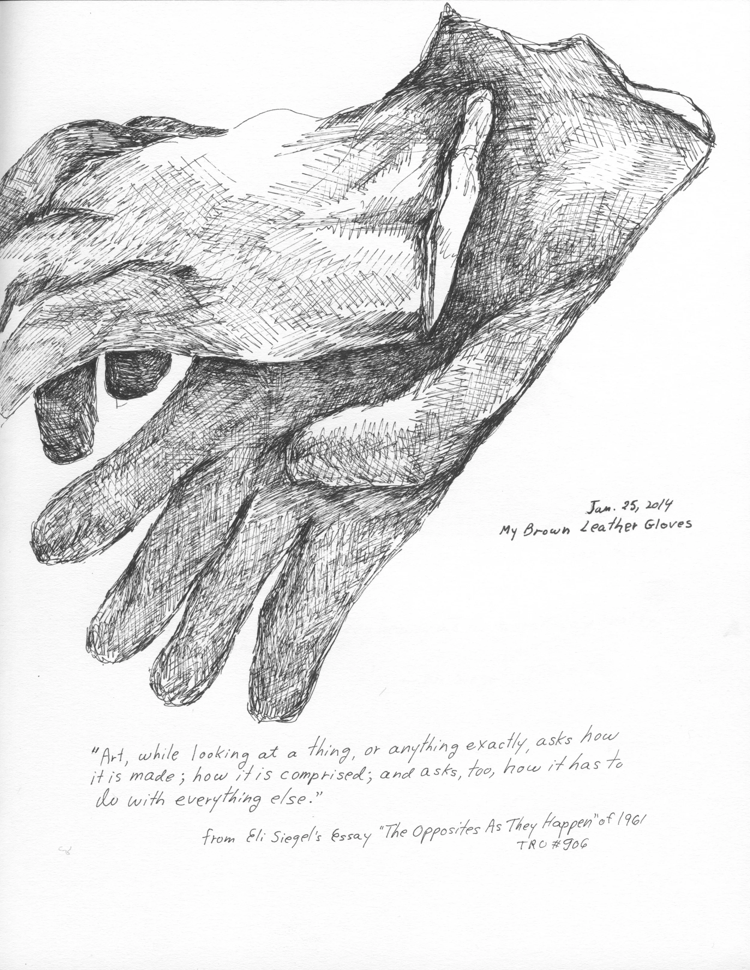 Brown Leather Gloves.jpeg