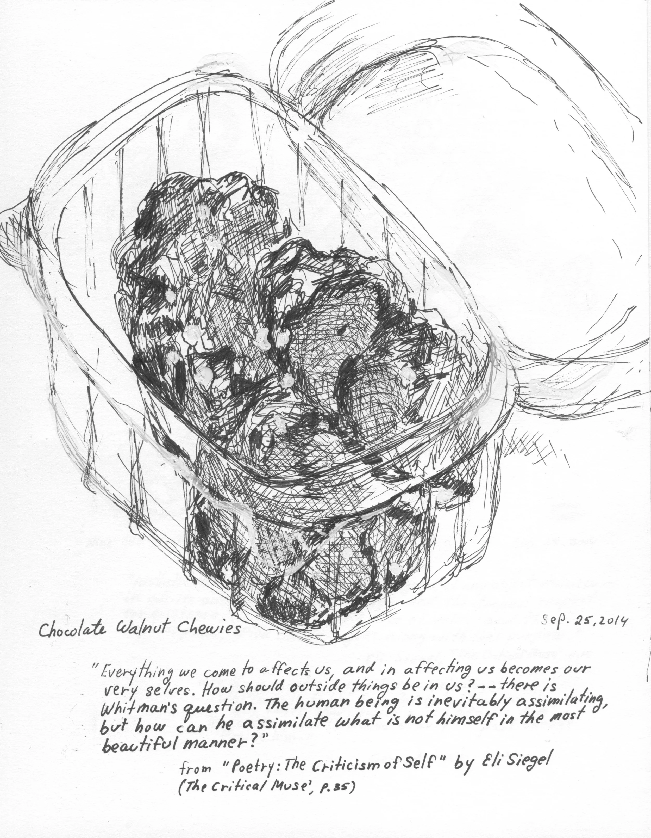 Chocolate Walnut Chewies.jpeg