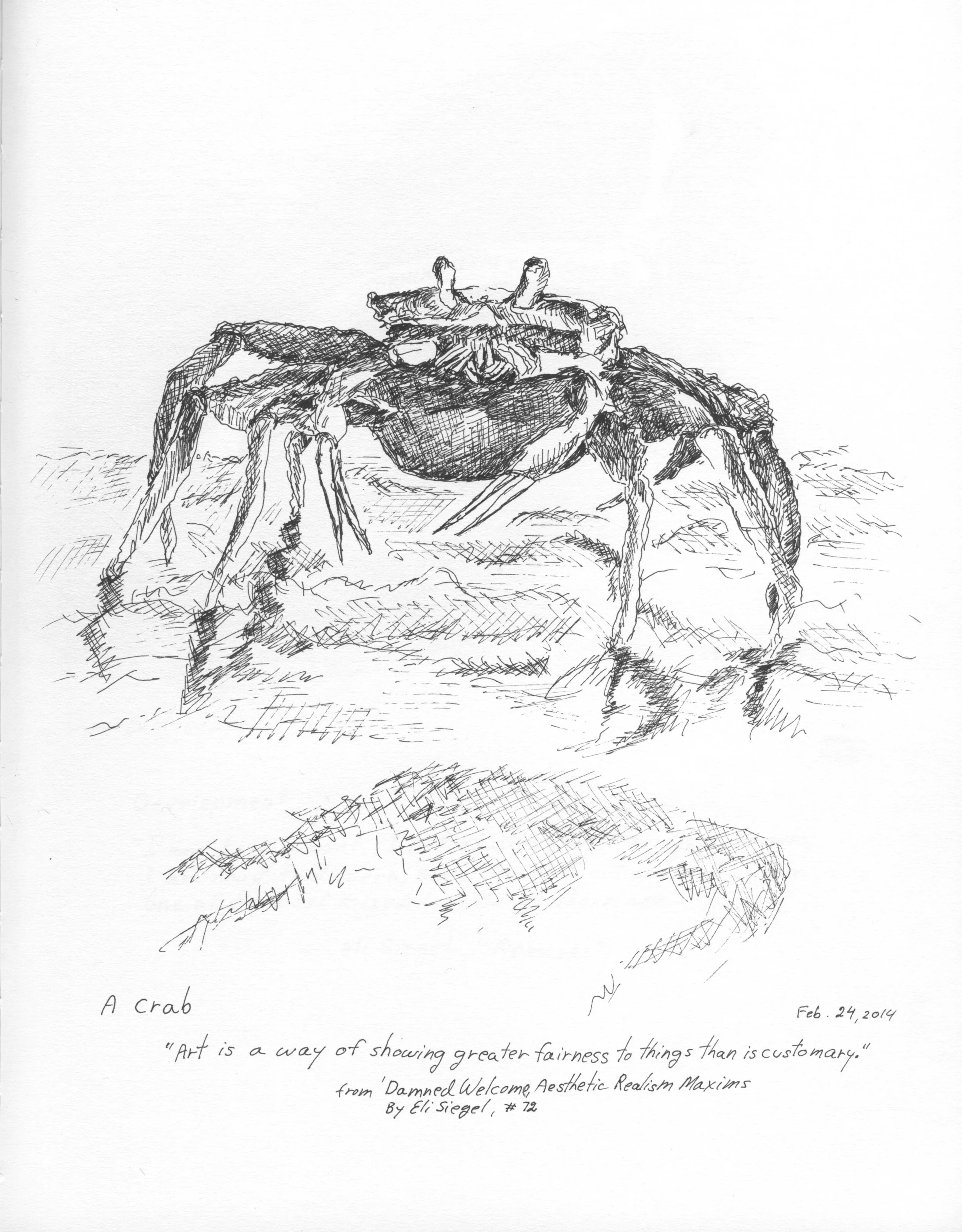 Crab, A.jpeg