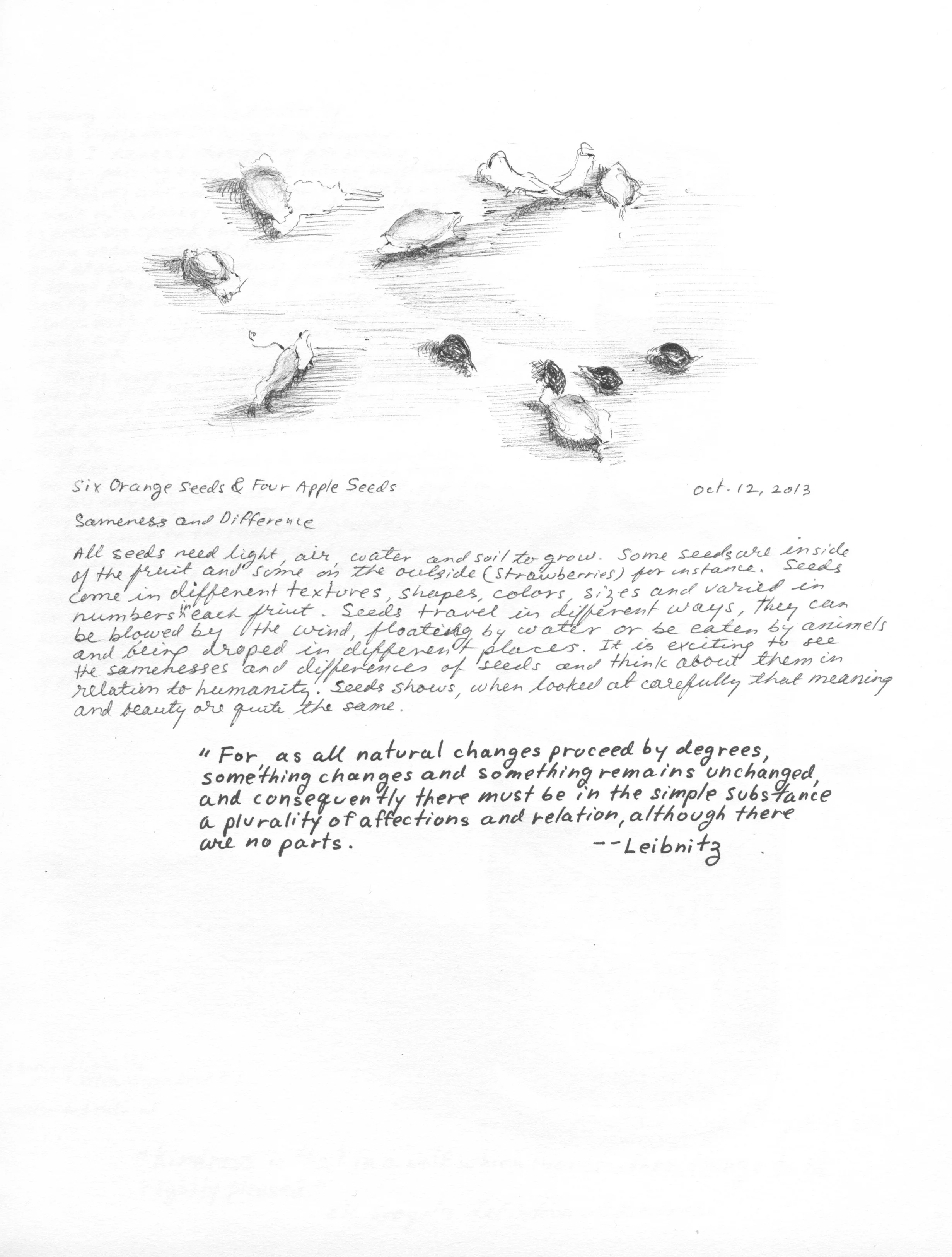 Six Orange Seeds & four Apple Seeds.jpeg