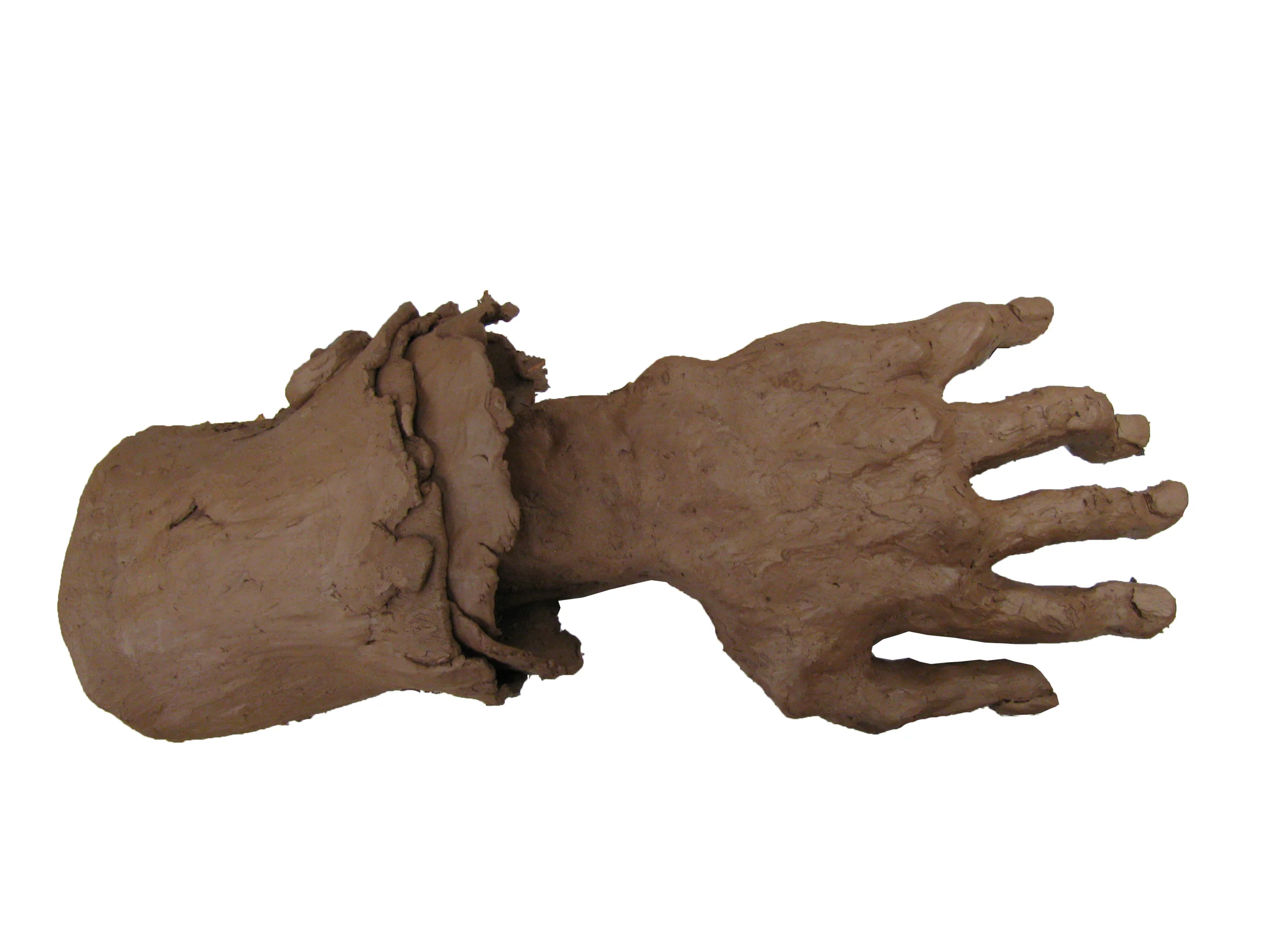 Large Hand (139.1)