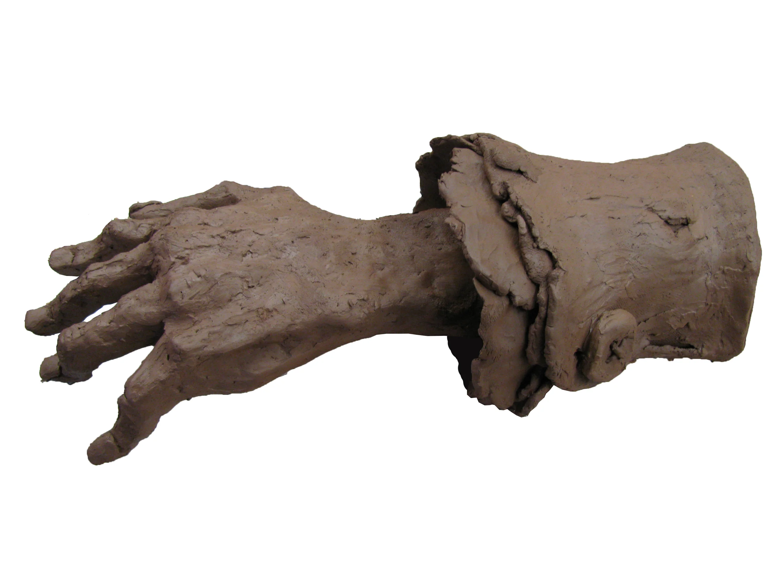 Large Hand (139.2)
