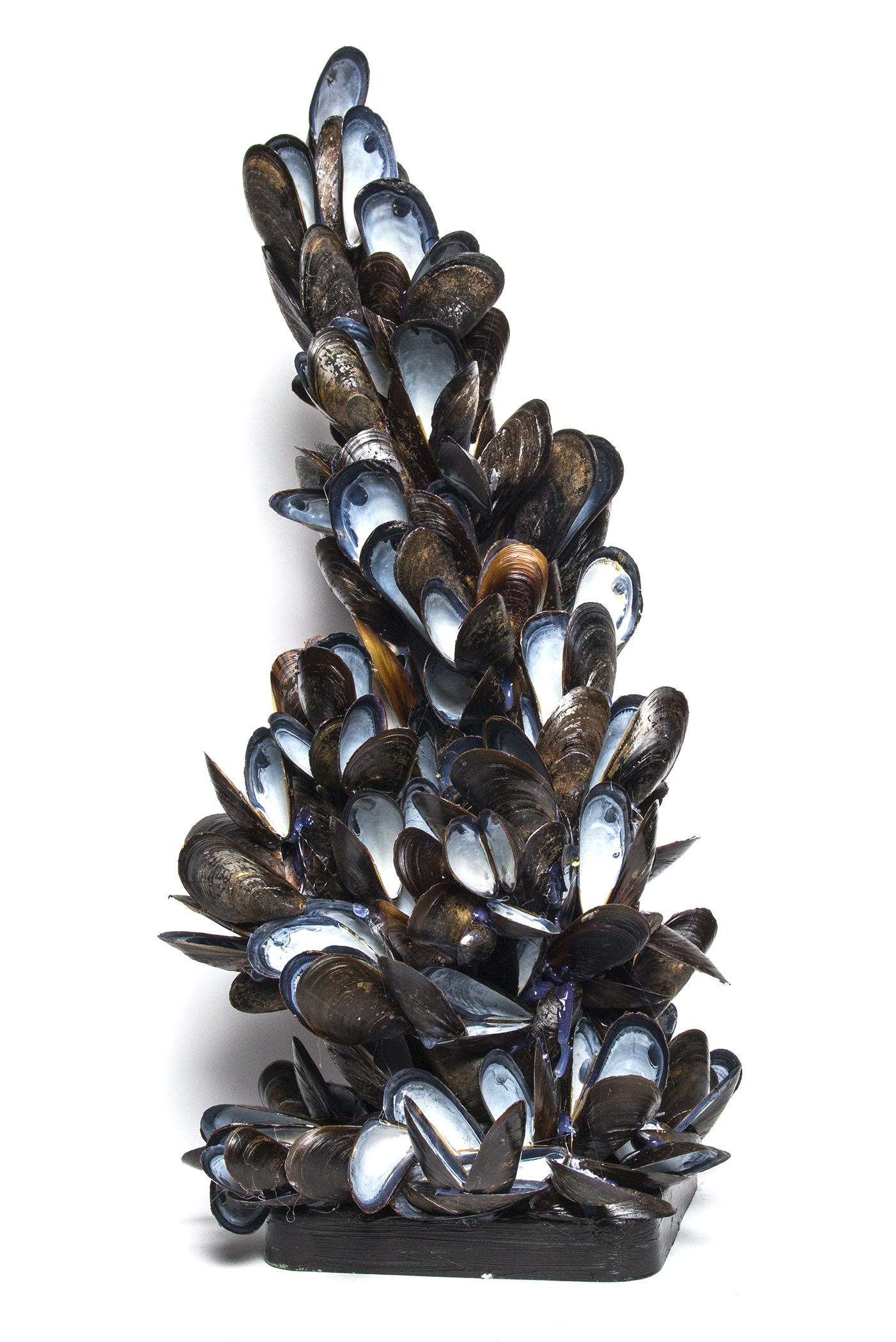 Tower with Mussel Shells I (203.1)