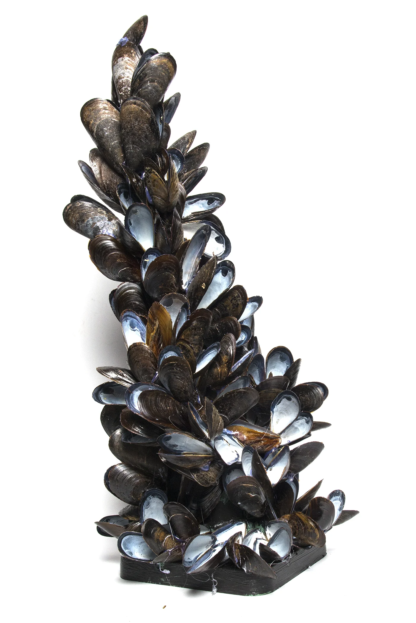 Tower with Mussel Shells I (203.2)