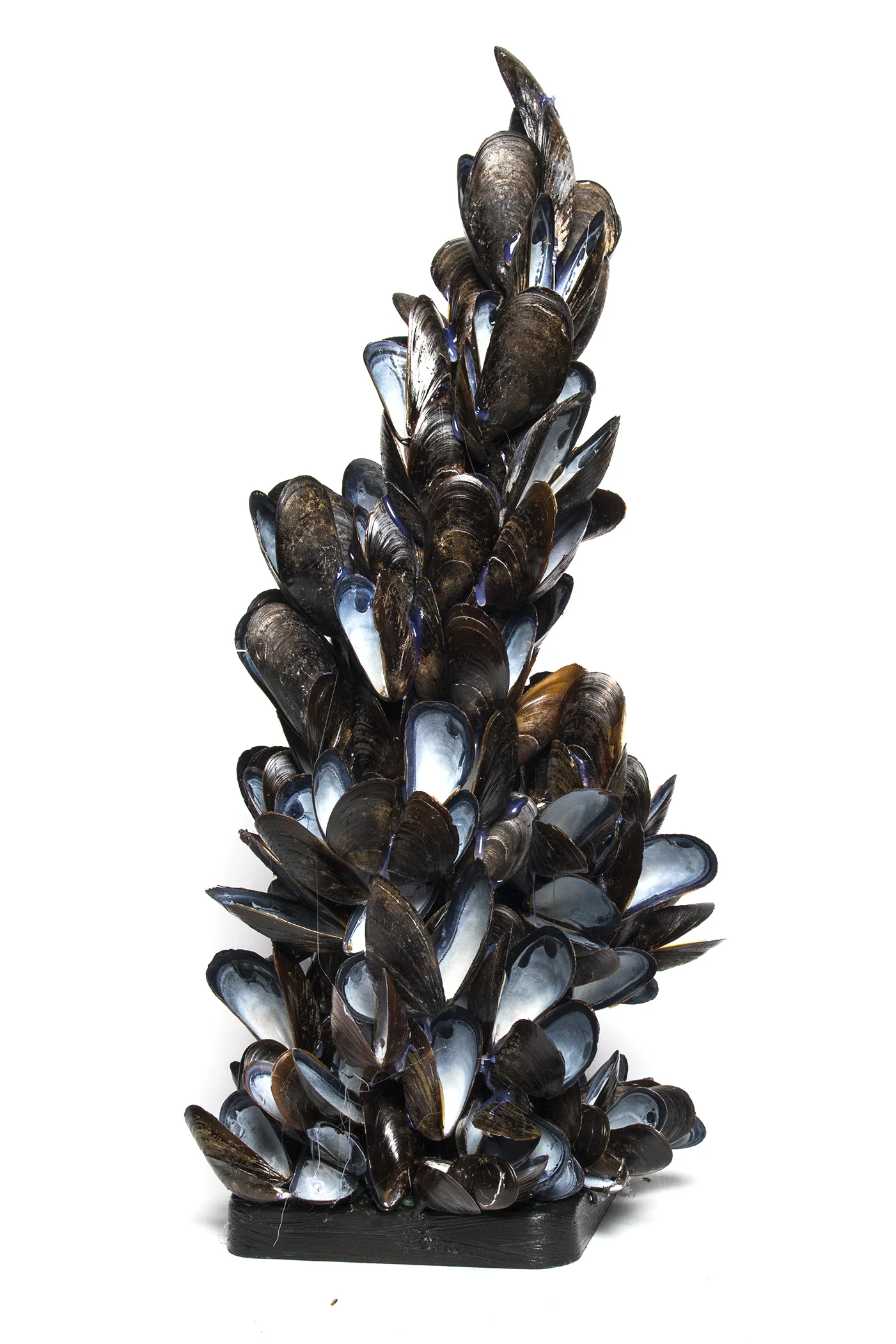 Tower with Mussel Shells I (203.3)