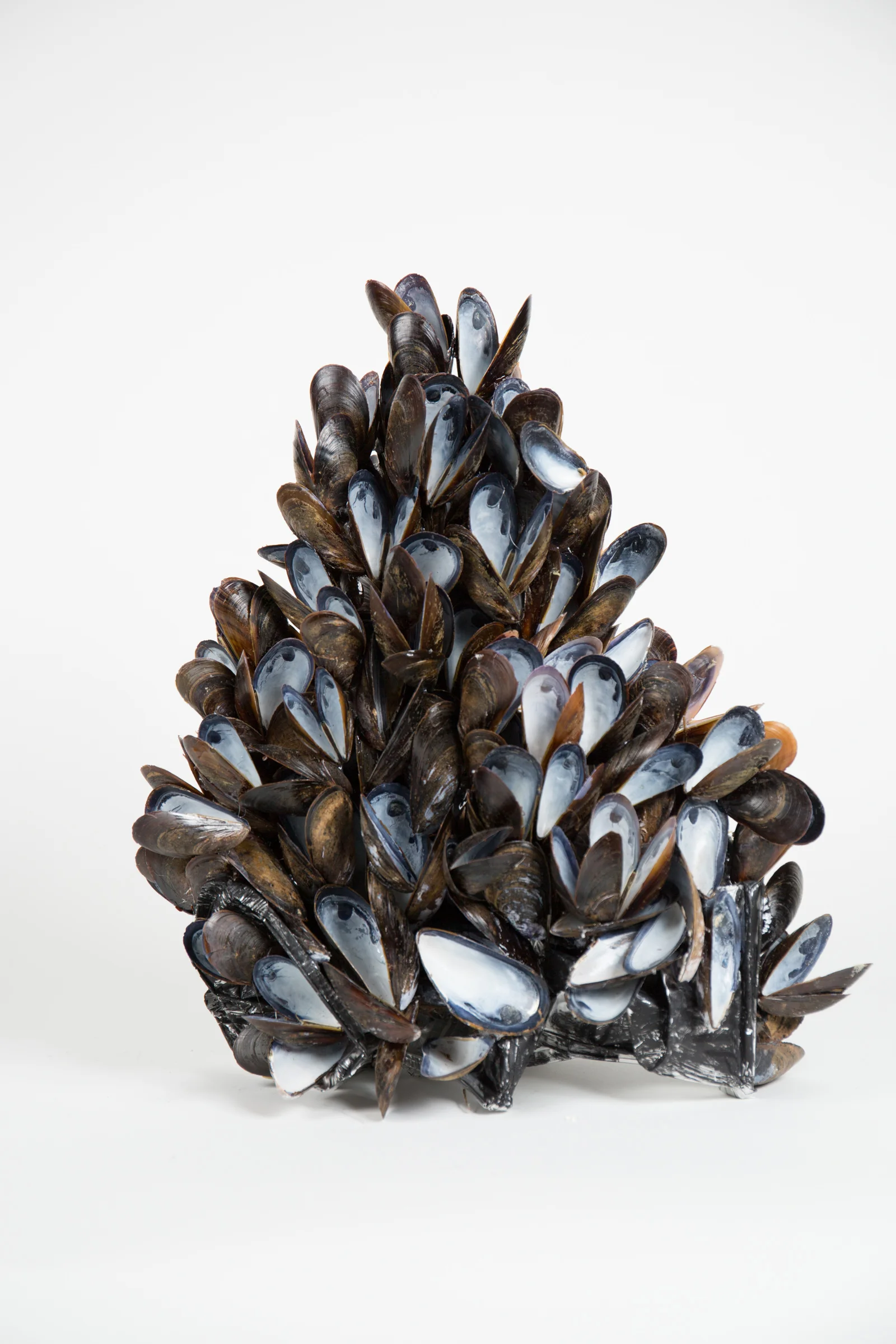 Tower with Mussel Shells II (218.1)