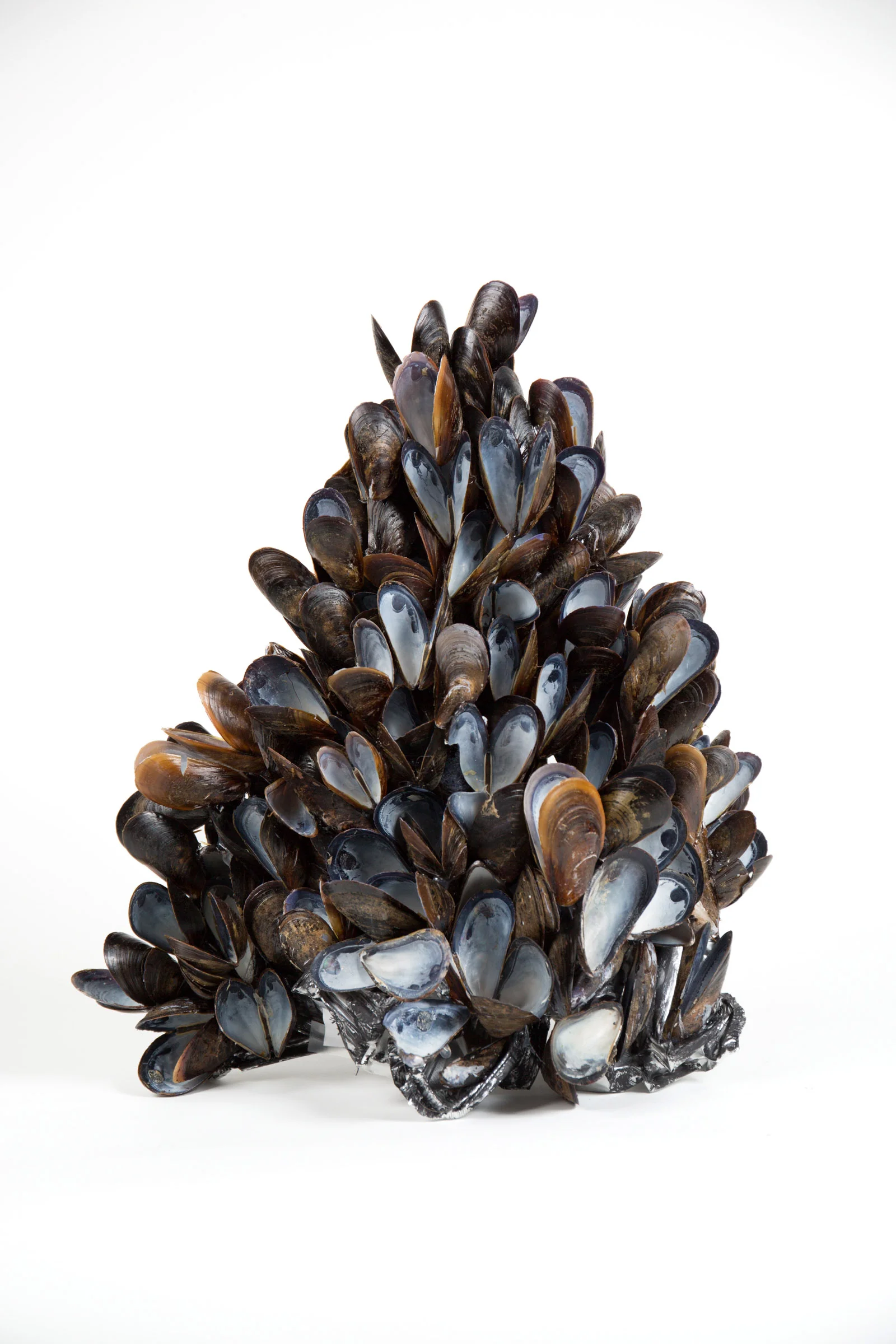 Tower with Mussel Shells II (218.3)
