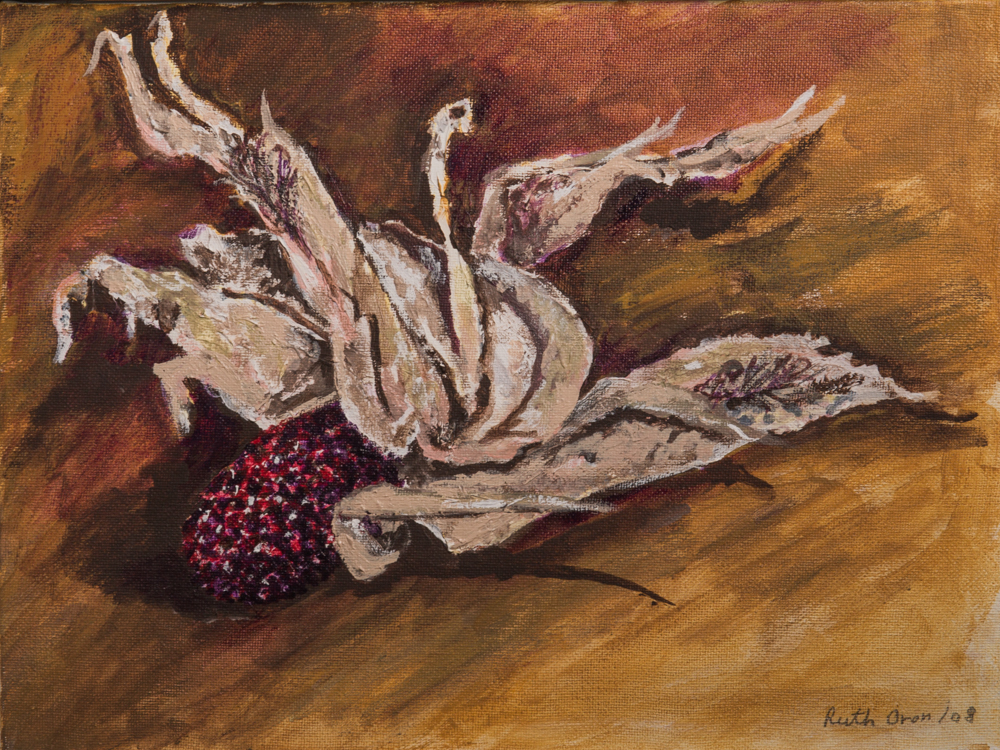 Indian Corn (87)