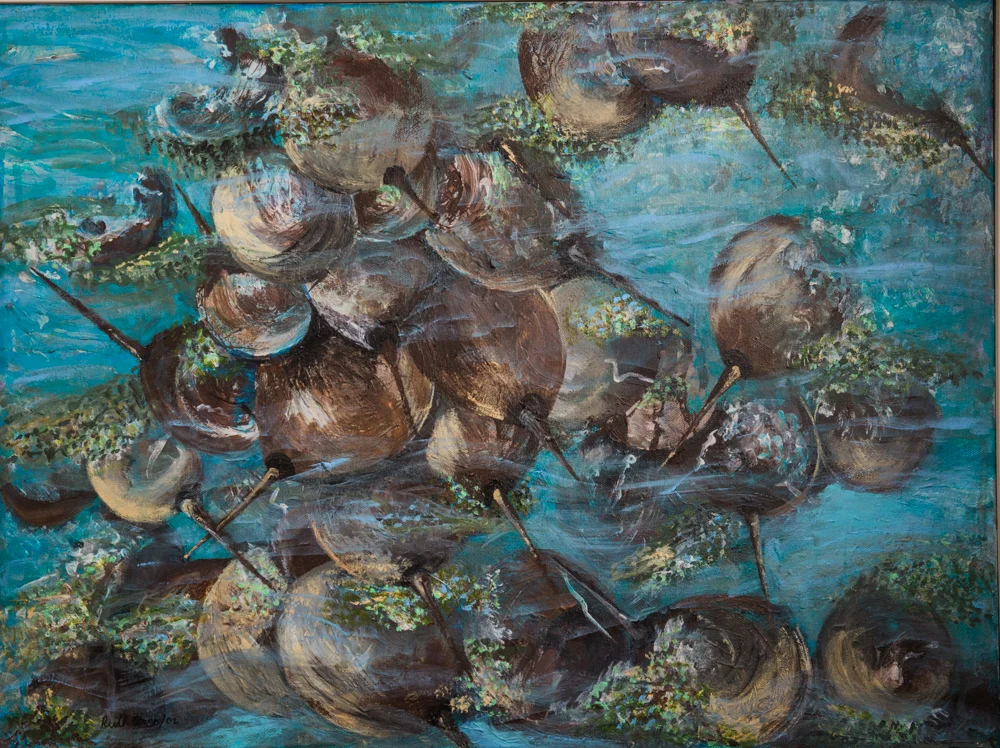 Horseshoe Crabs (94)