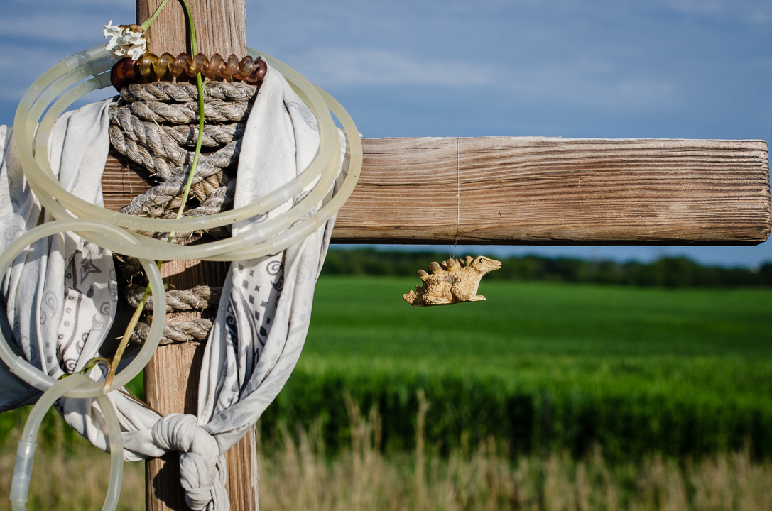 All My Questions , July 2015, Morris, IL