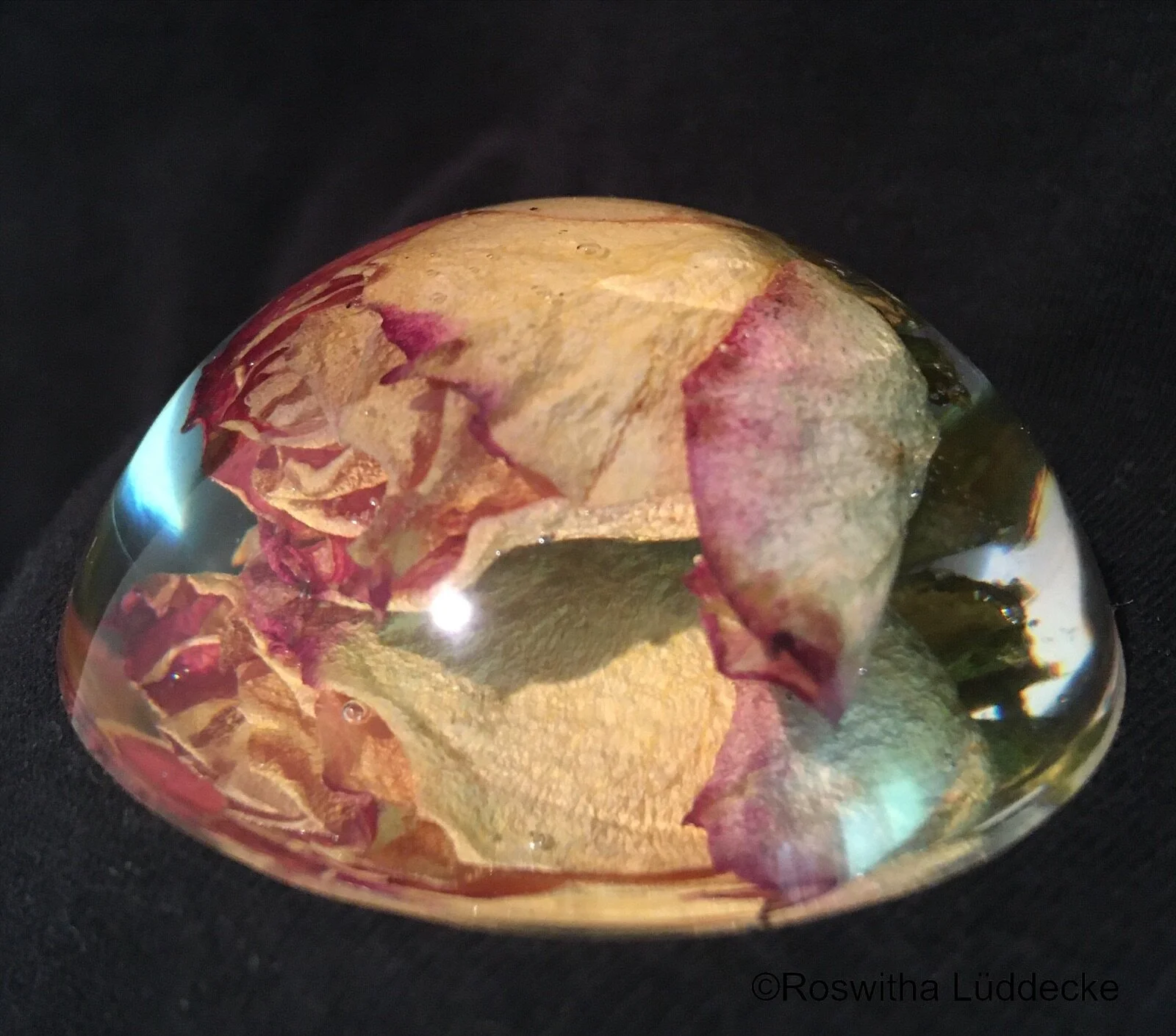 Getrocknete Rose, konserviert in Harz.