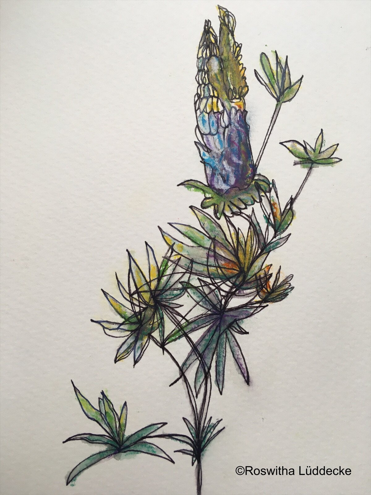 eZy Watermark_06-07-2021_05-24-08PM.jpeg