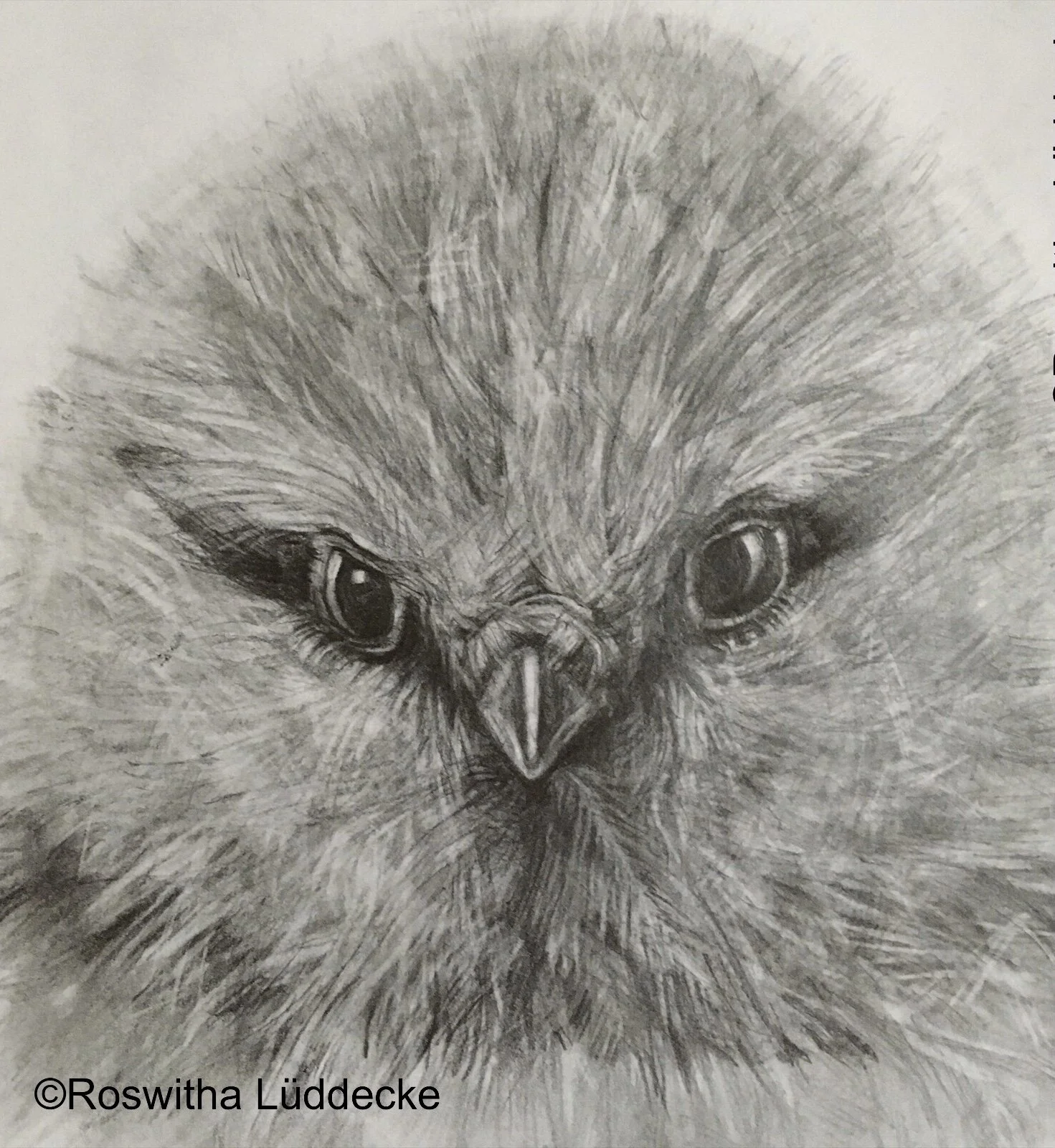 eZy Watermark_23-08-2021_06-59-32PM.jpeg