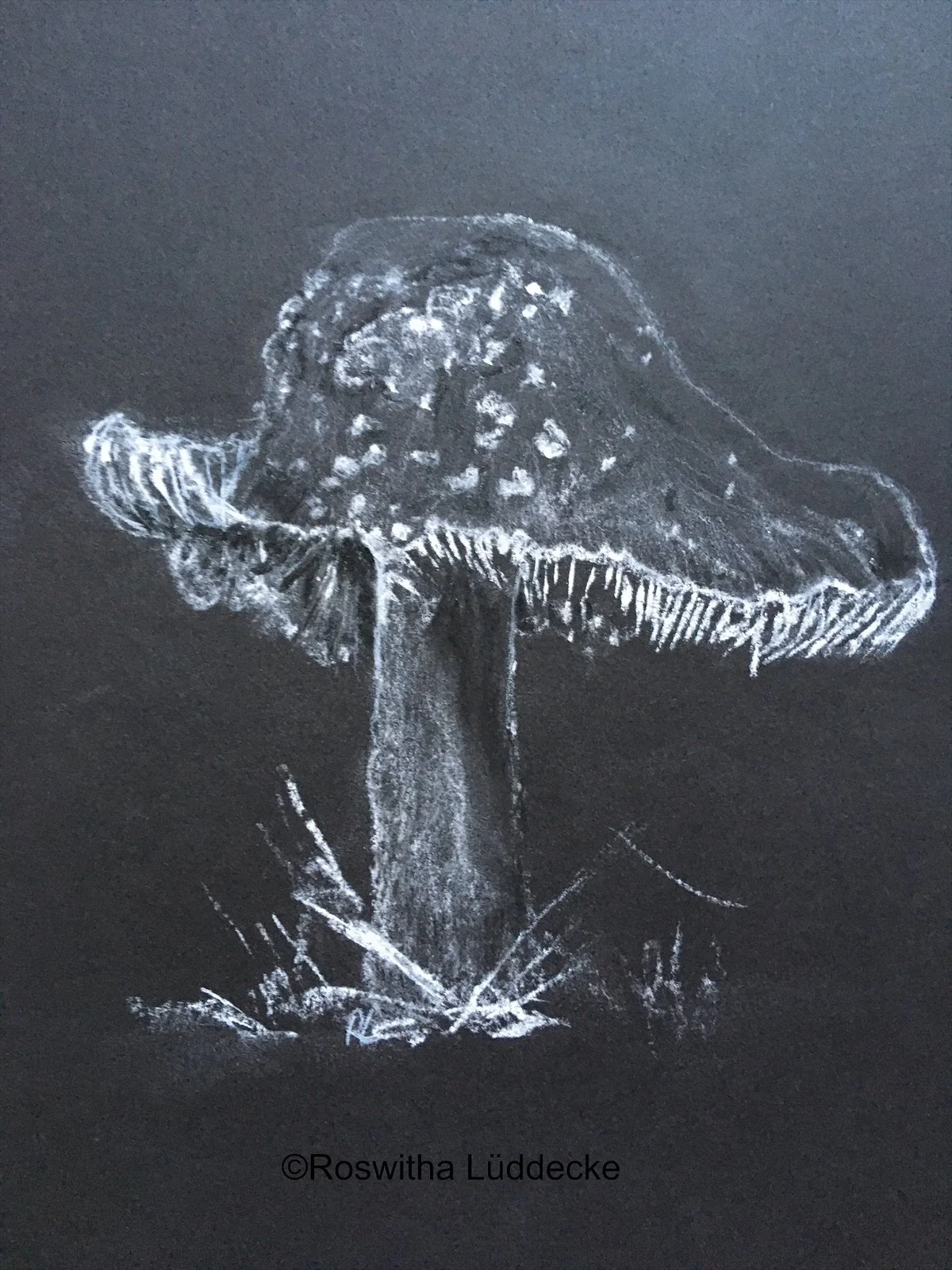 eZy Watermark_28-10-2021_09-39-23AM.jpeg