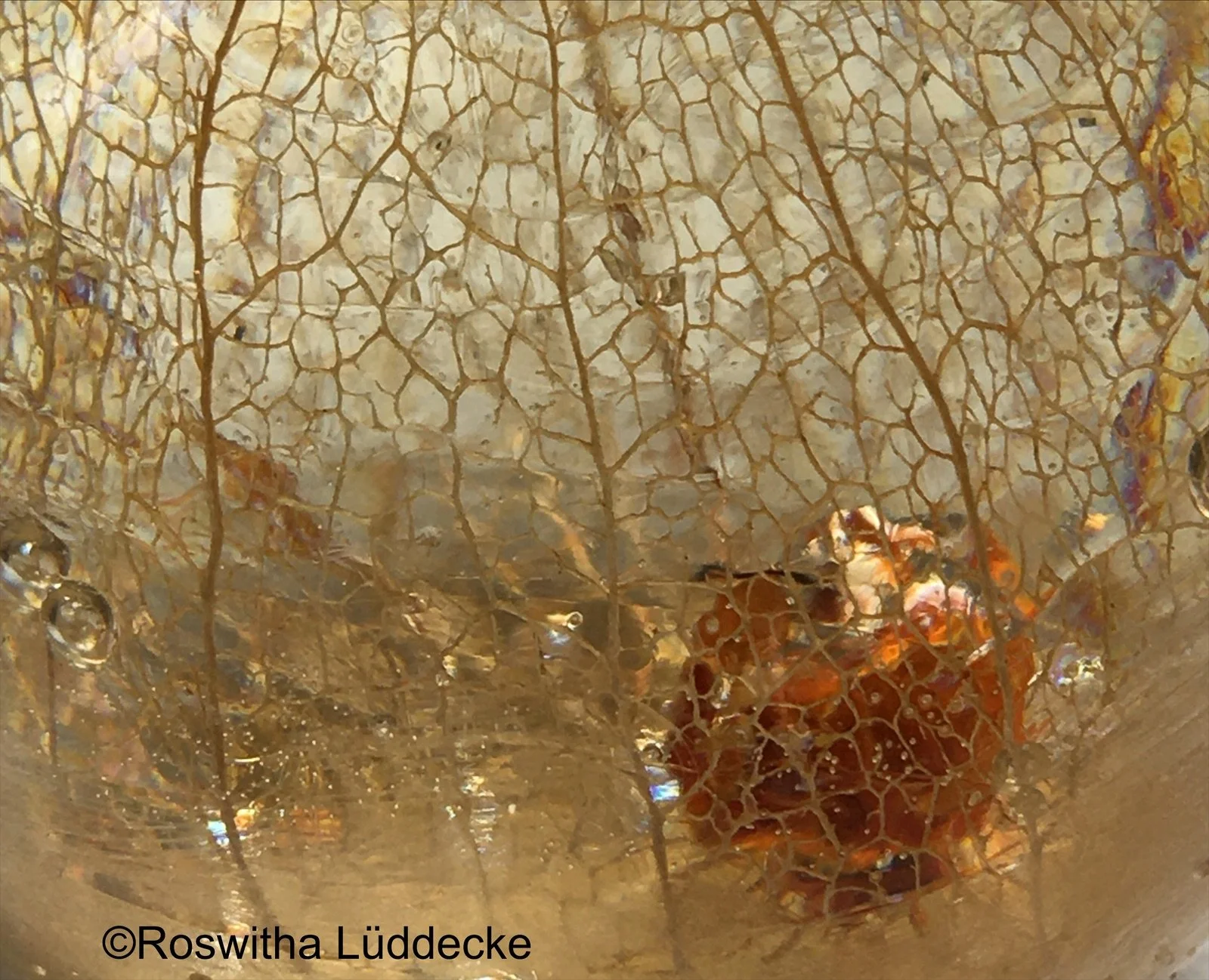 eZy Watermark_03-10-2021_03-06-55PM.jpeg