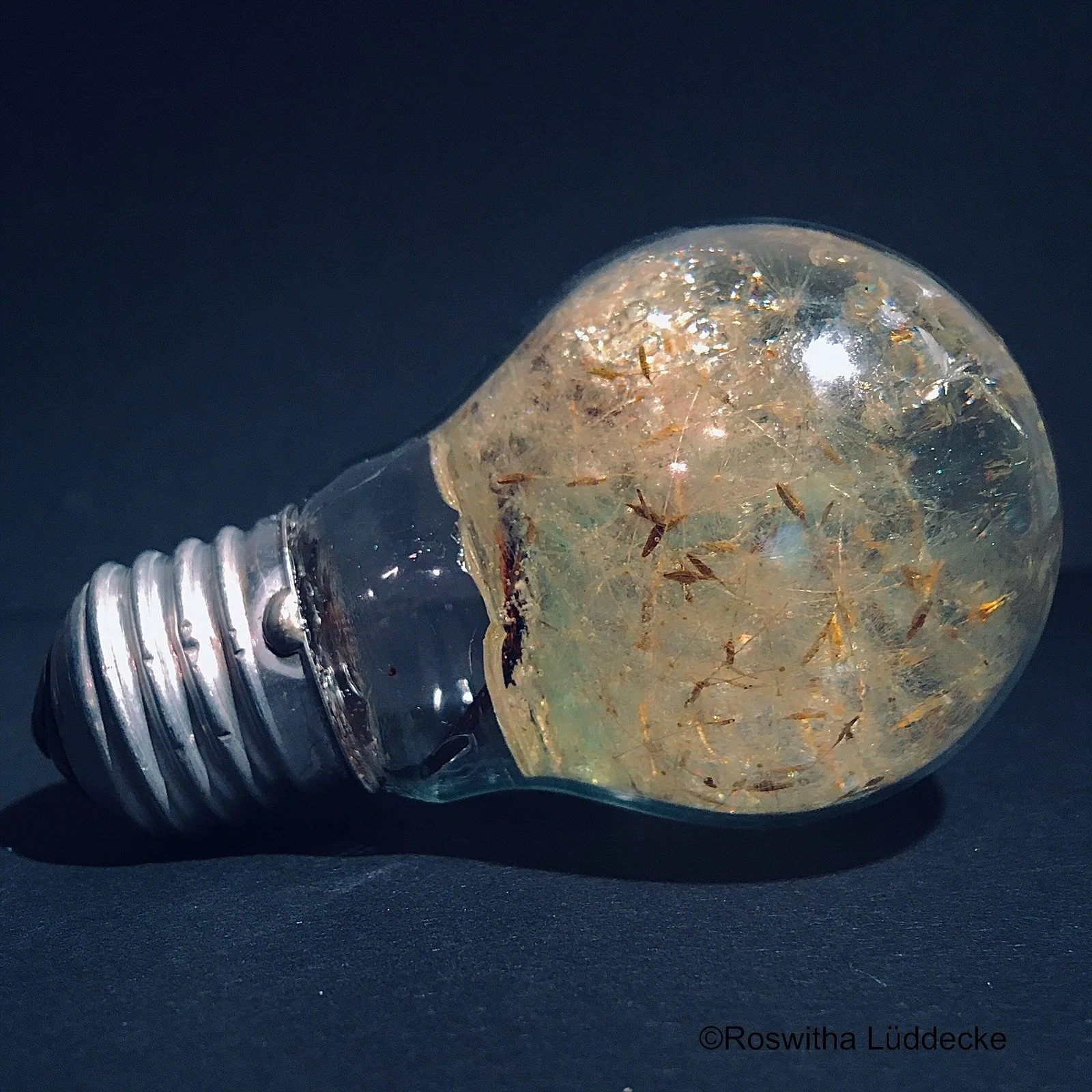 eZy Watermark_31-12-2021_10-29-34AM.jpeg