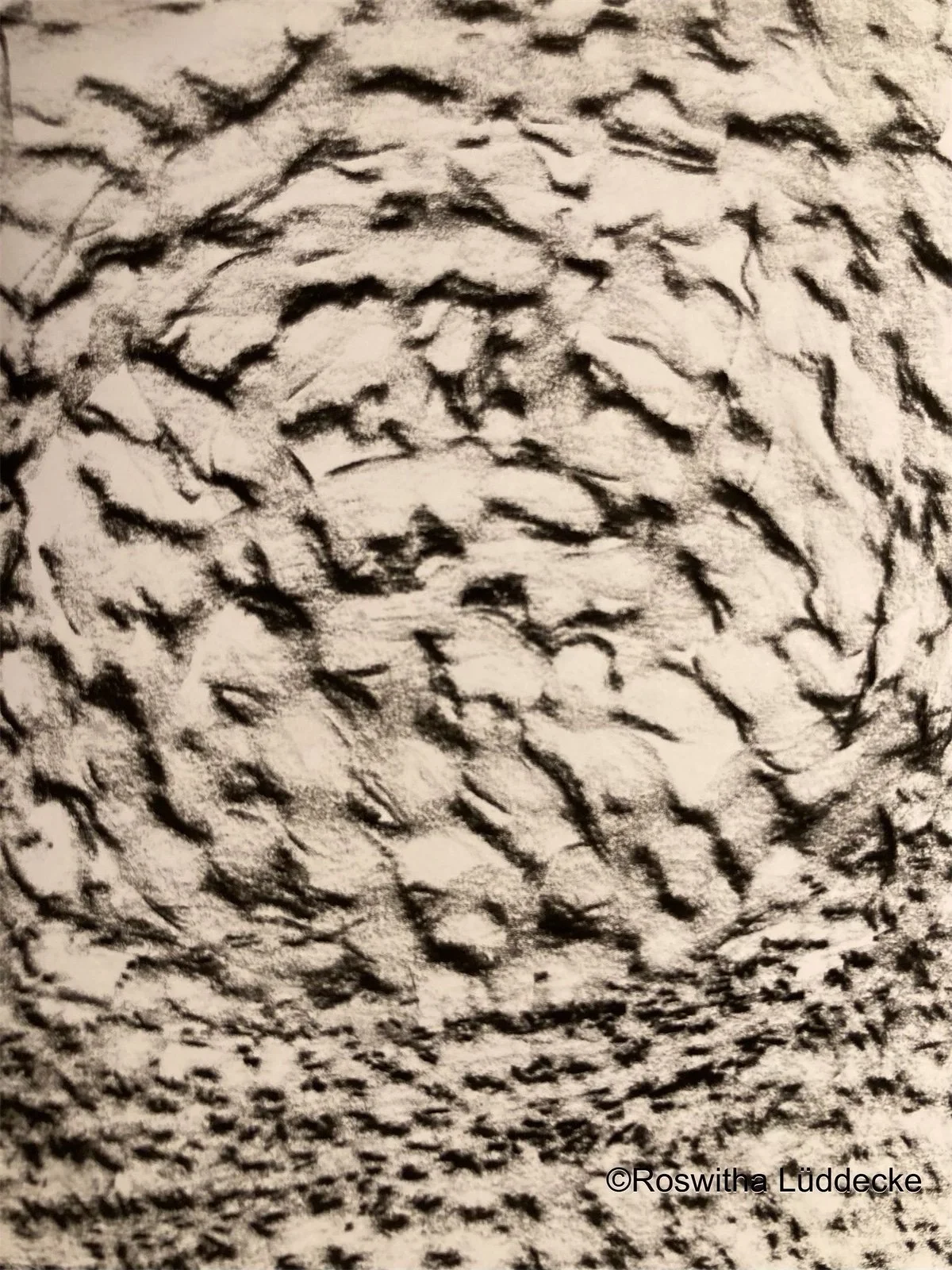 eZy Watermark_03-11-2025_04-42-24-2190PM.jpeg