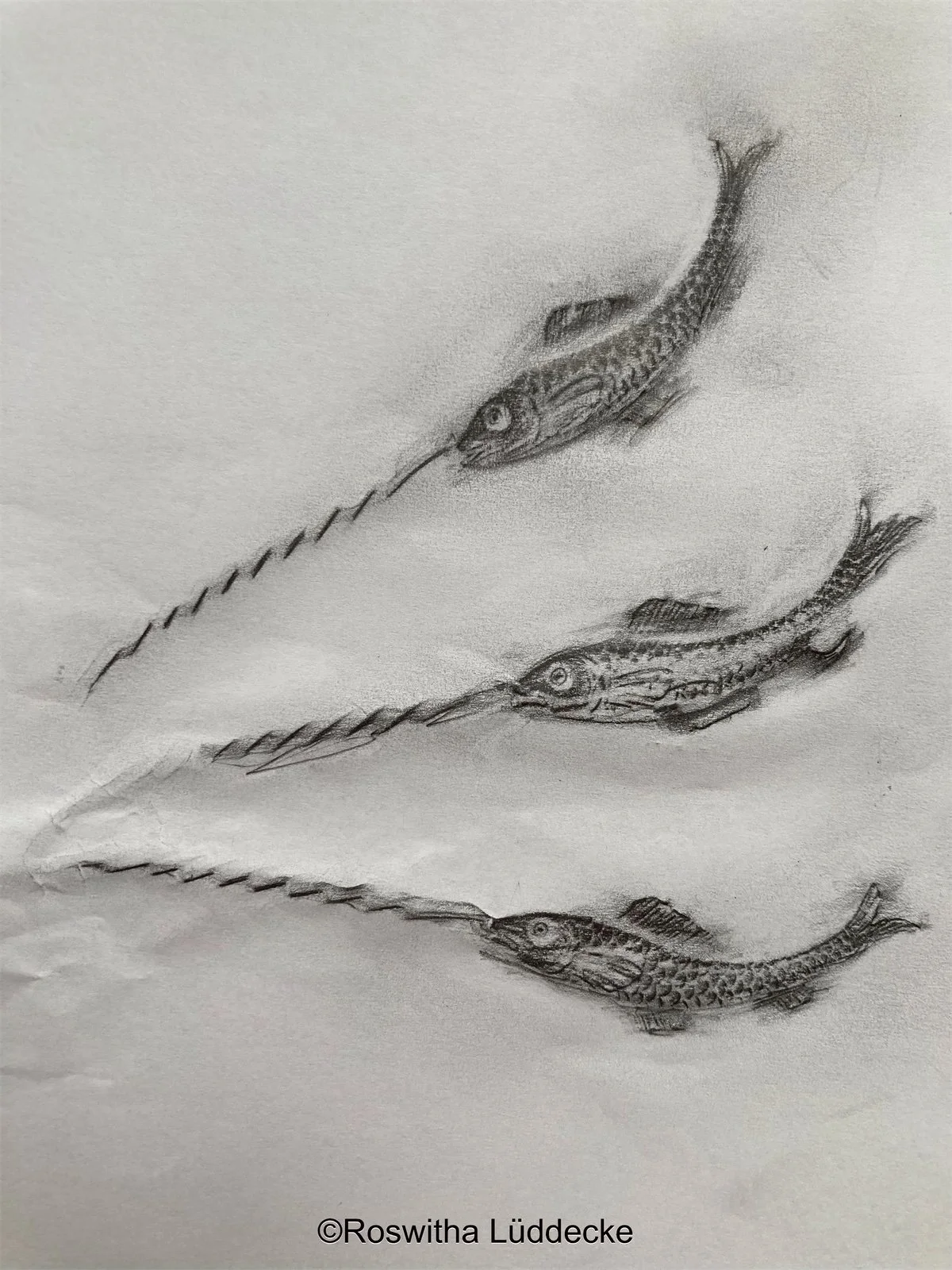 Frottage auf DINA 4 Papier 