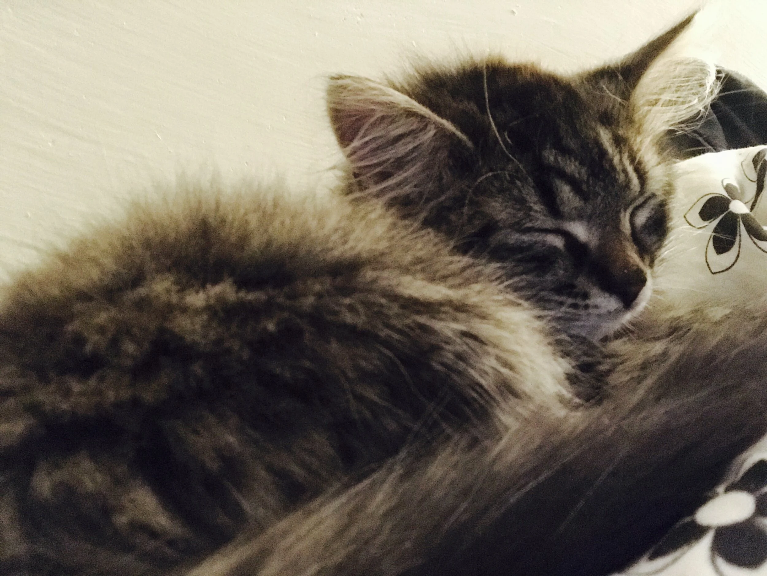 2016-12-12_21-01-45_180.jpeg