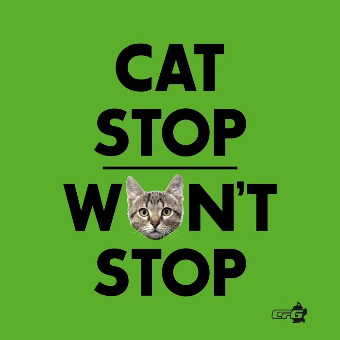 cat stop.jpg