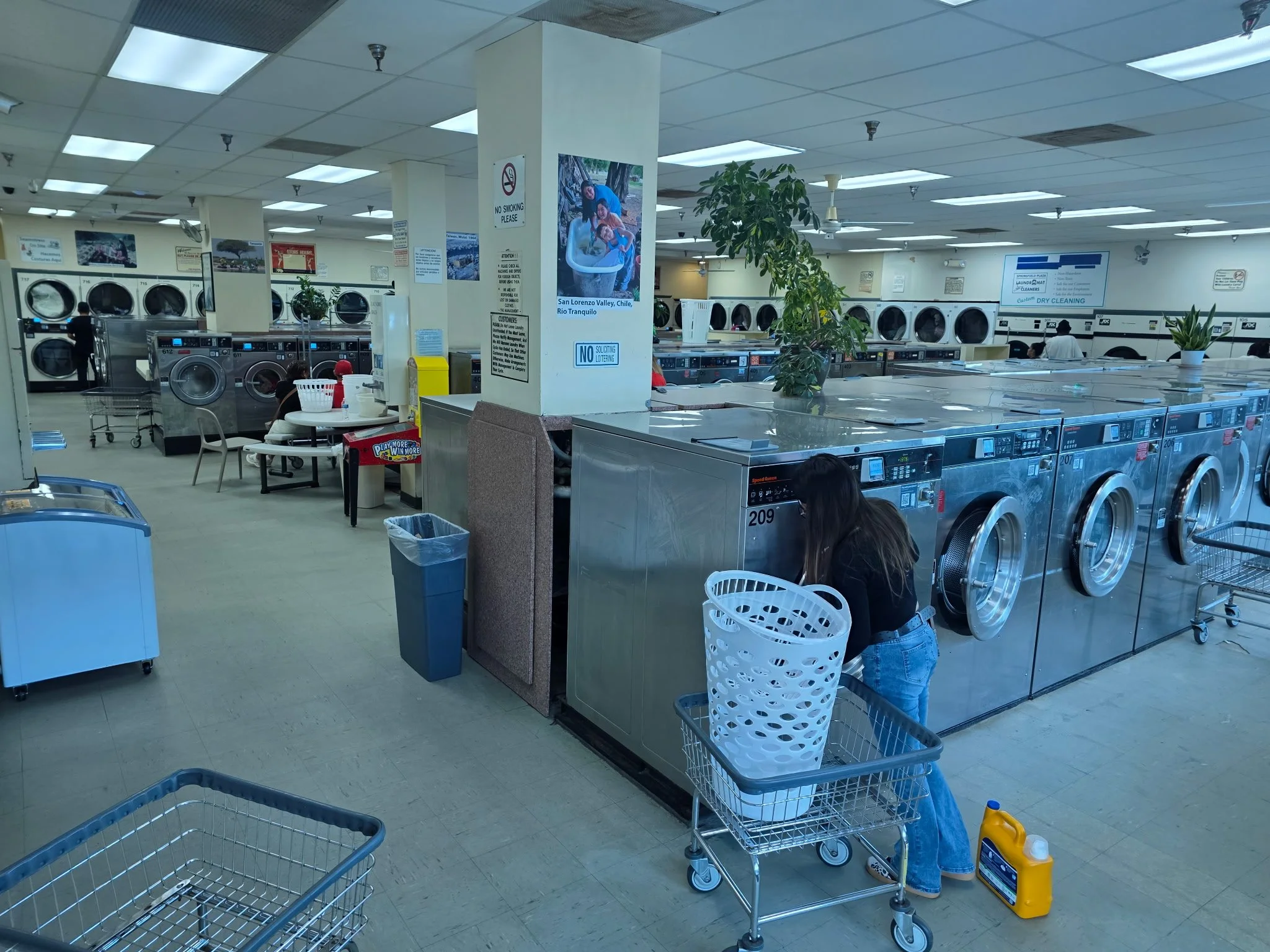 Large Capacity Washers (up to 100 lbs) 