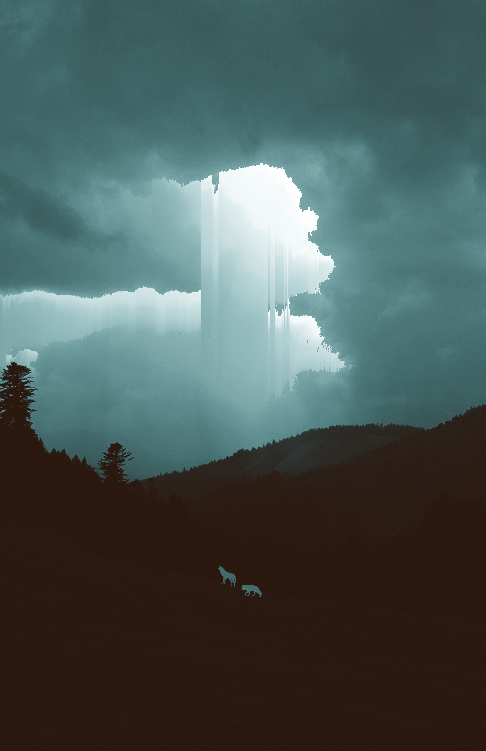 Rain