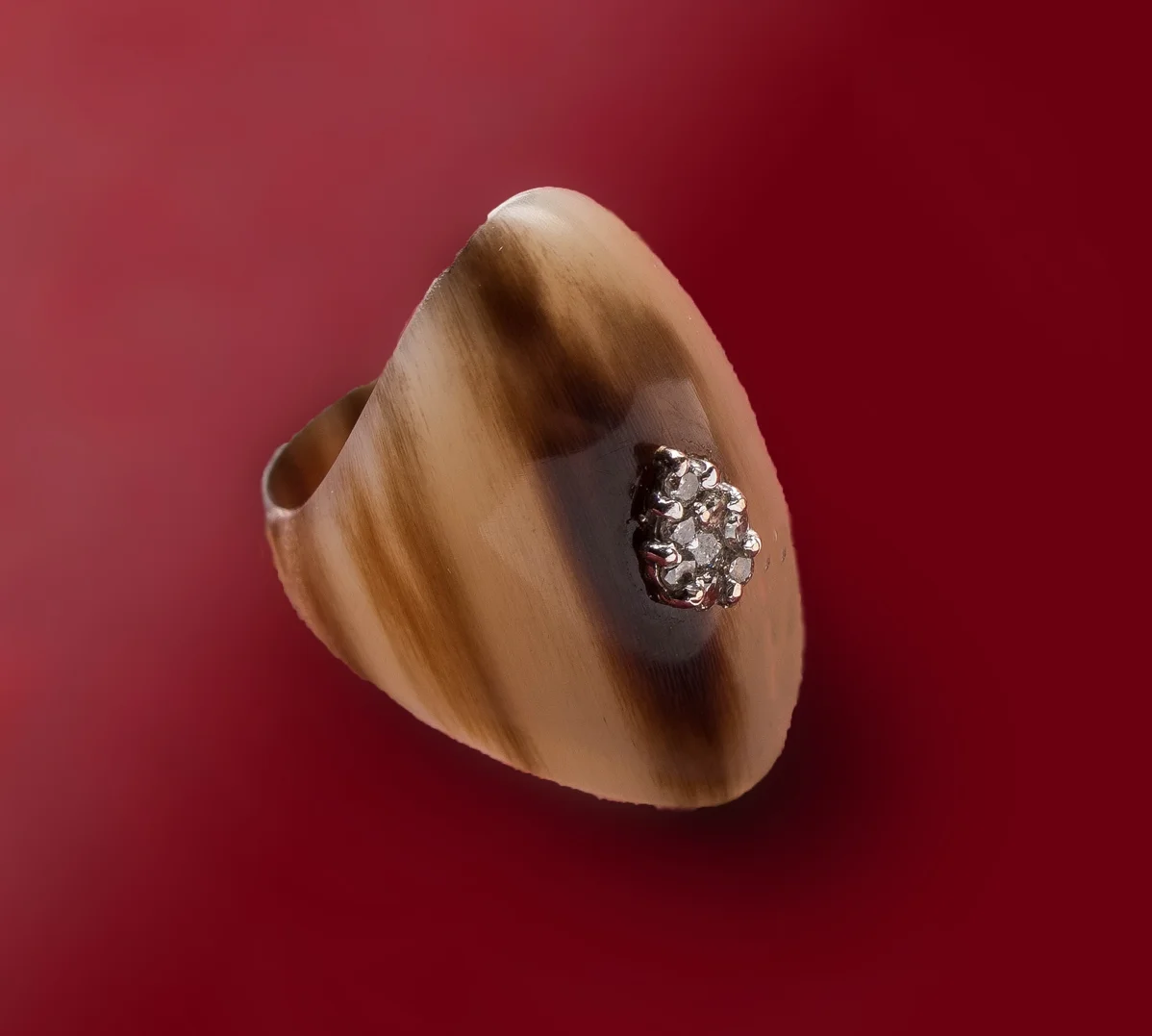 horn ring/diamond 0.2carat/r152