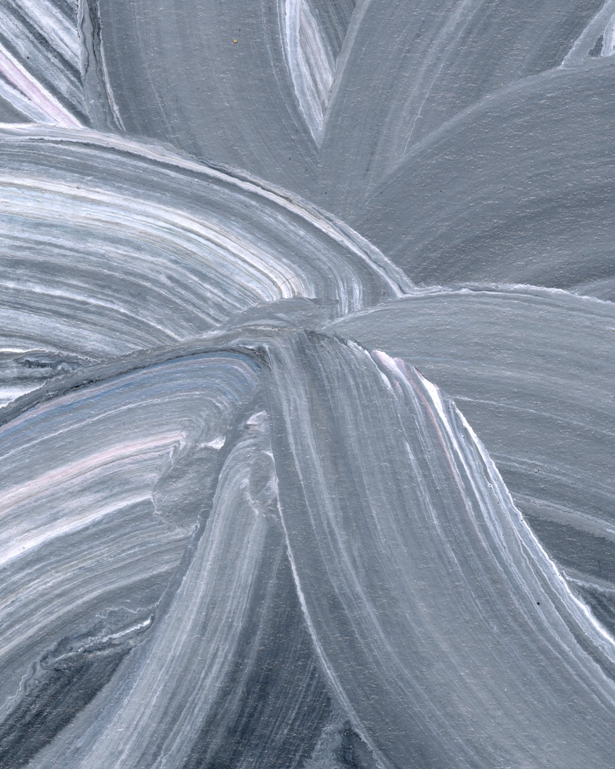 Detail_11x14_Water Flowers_2_2.jpg