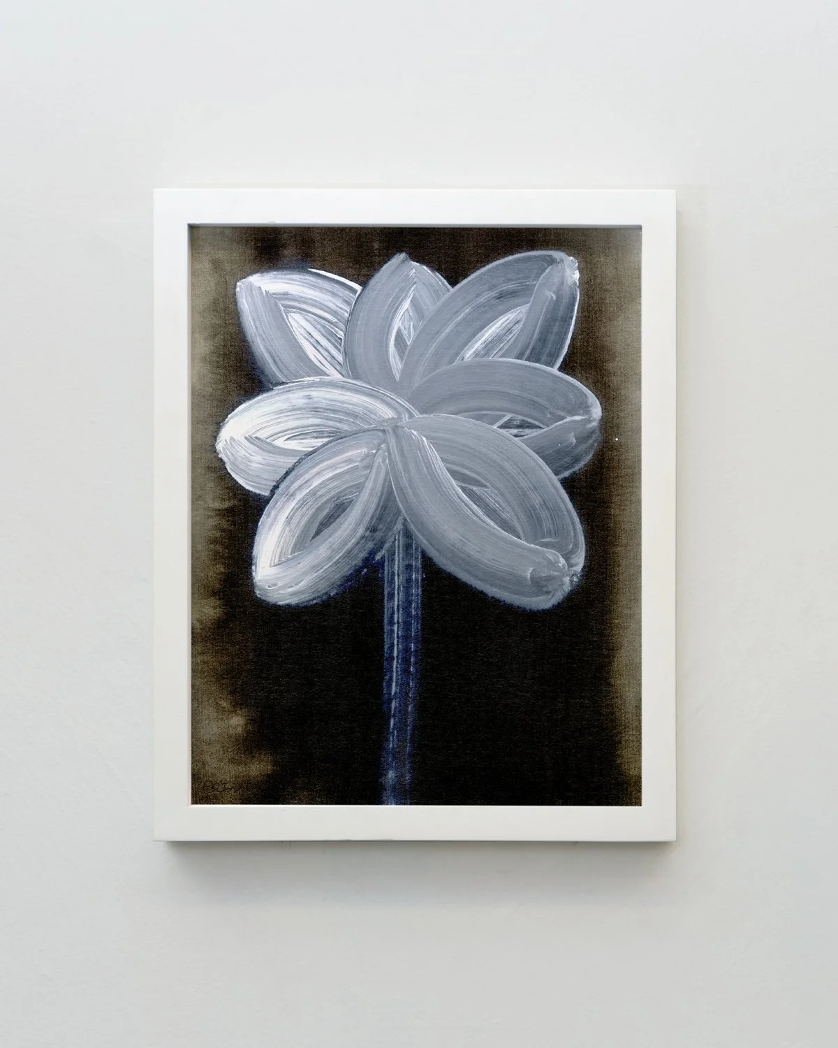 11x14_Frame_Portrait_Water Flower_2.jpg