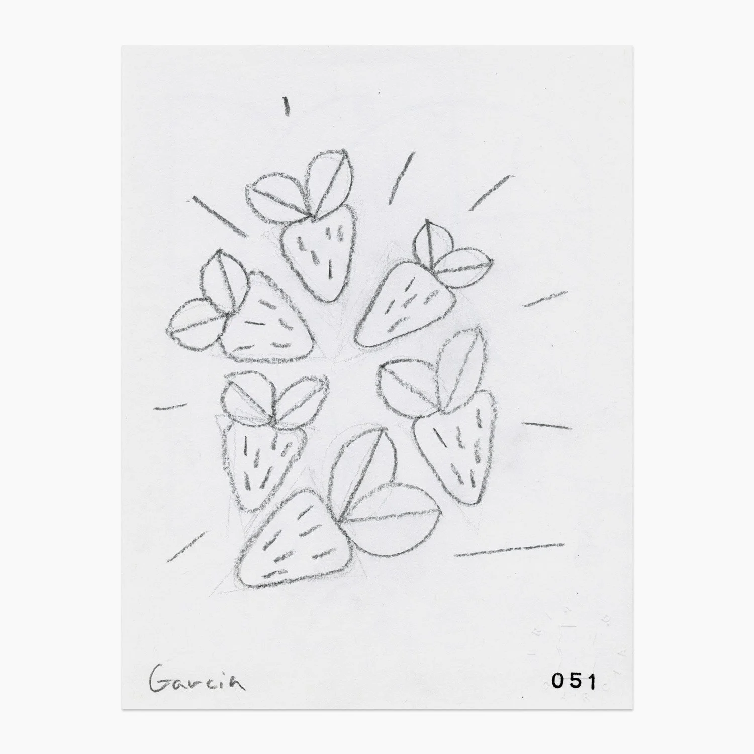 Online_8.5x11_51.jpg