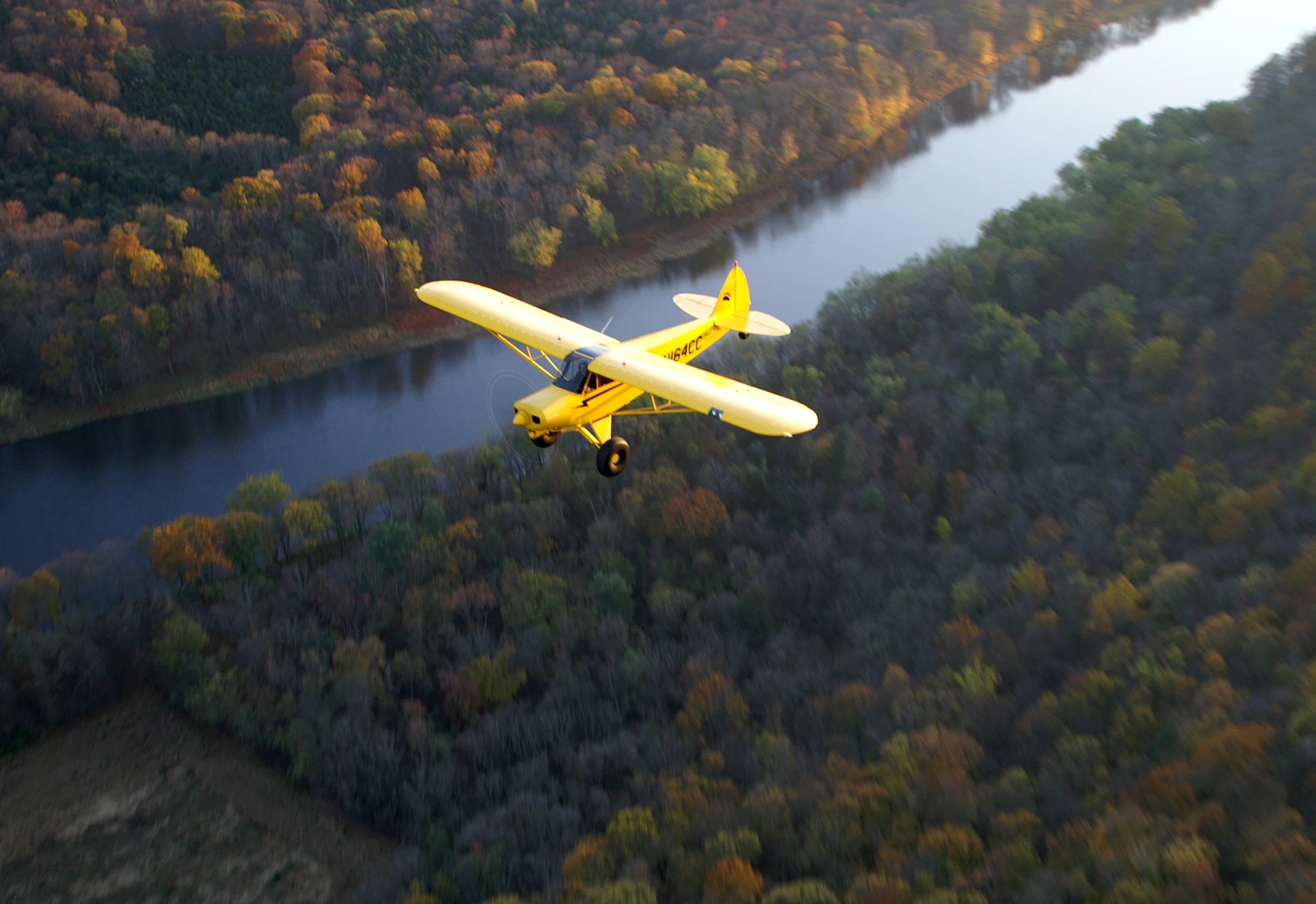 TopCub-Deleware.jpg