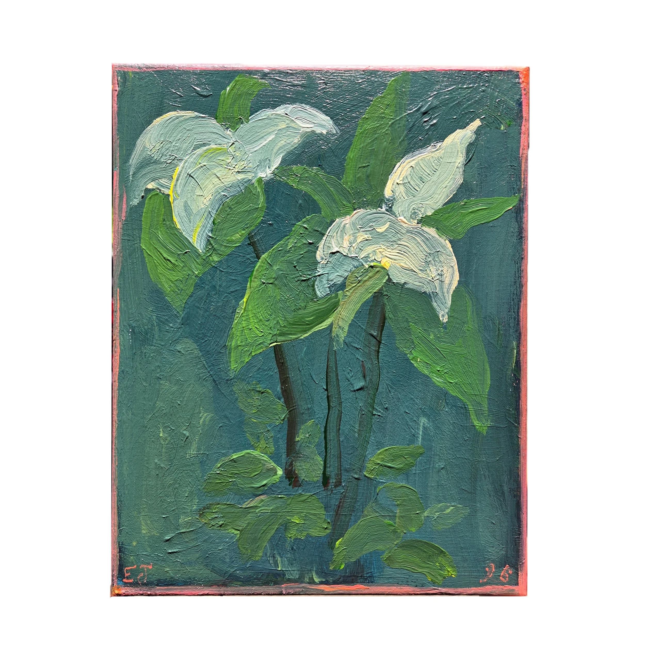 trillium.jpg