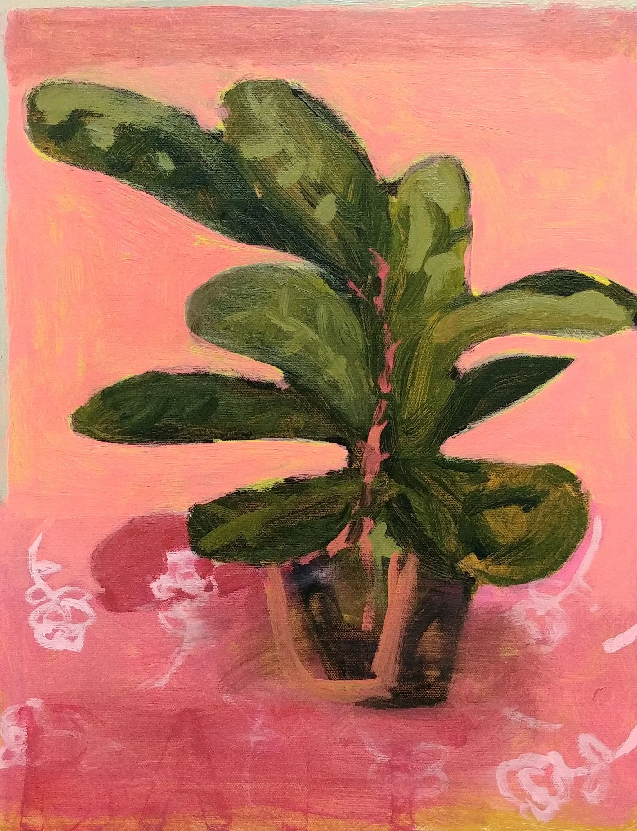 House Plant