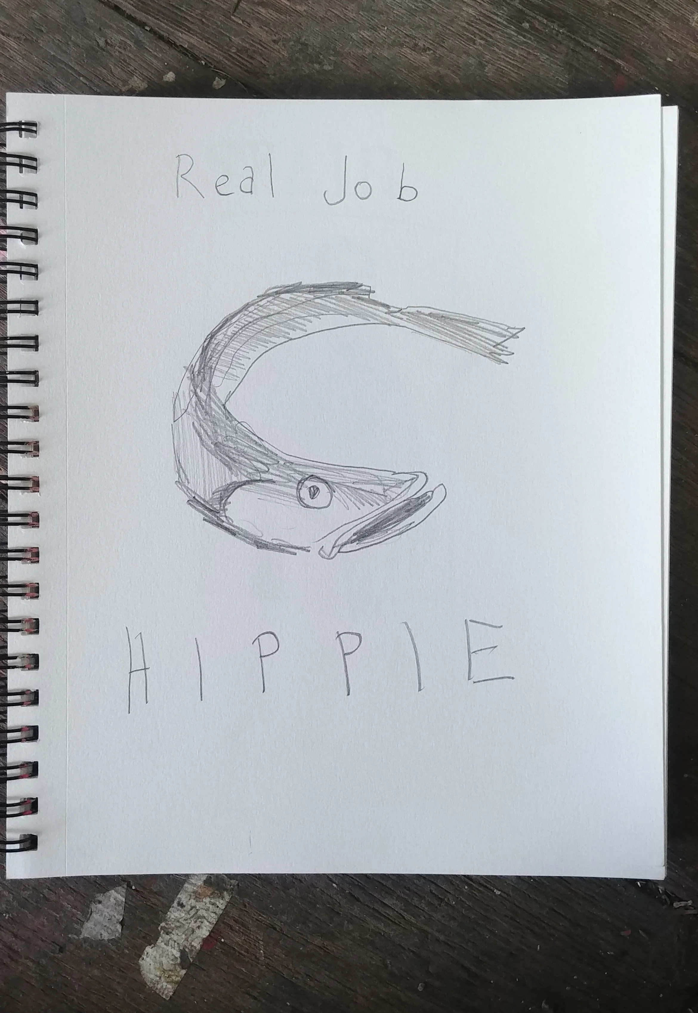 0520191624a~2.jpg