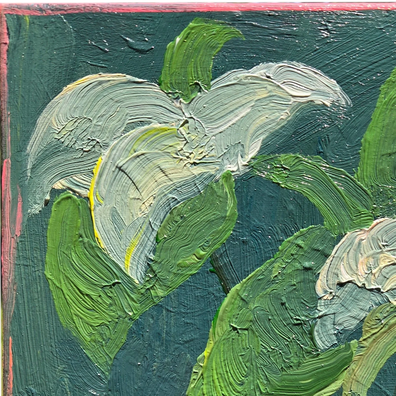 trilliumdailydetail1.jpg