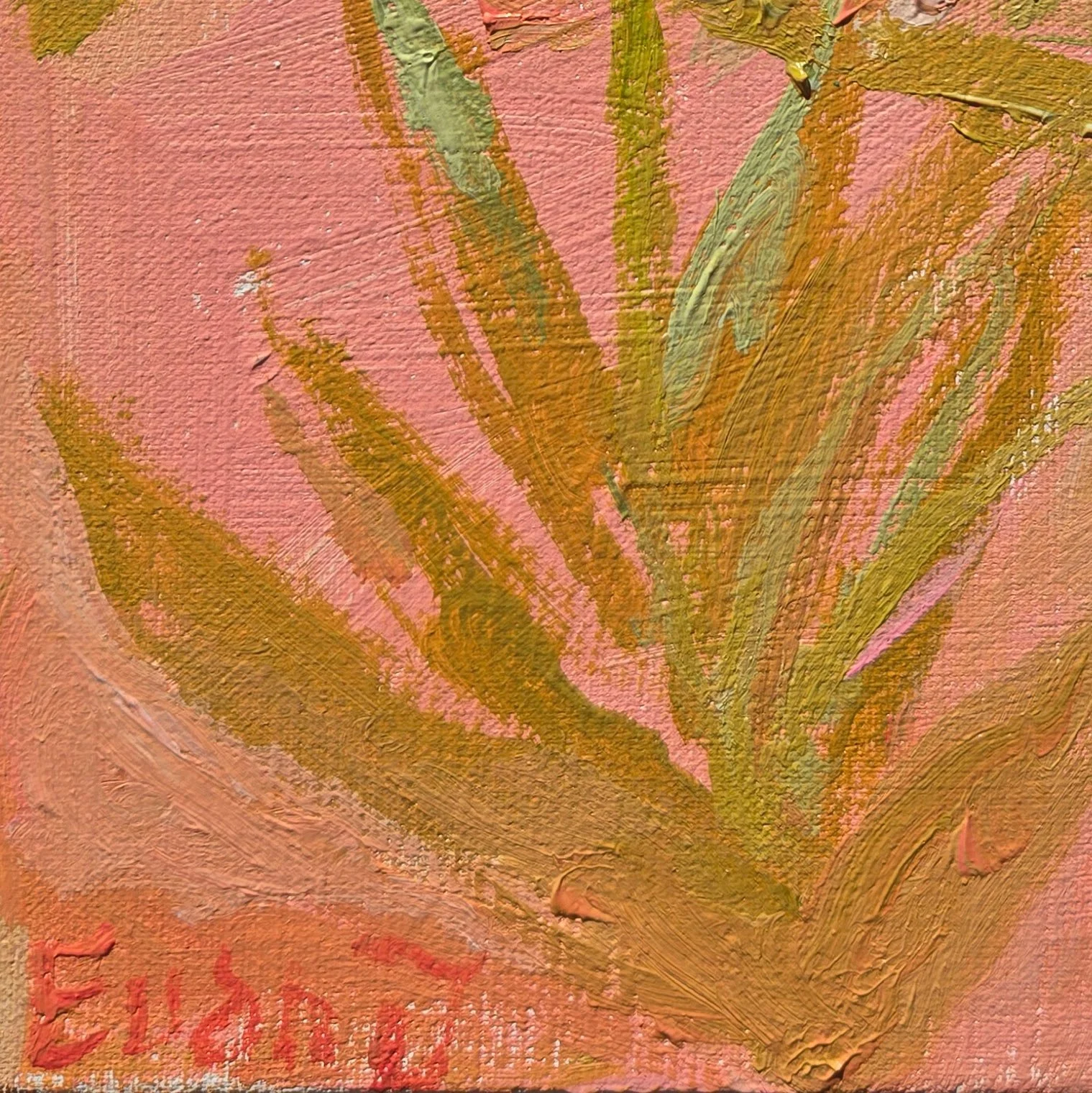 lilydailydetail3.jpg
