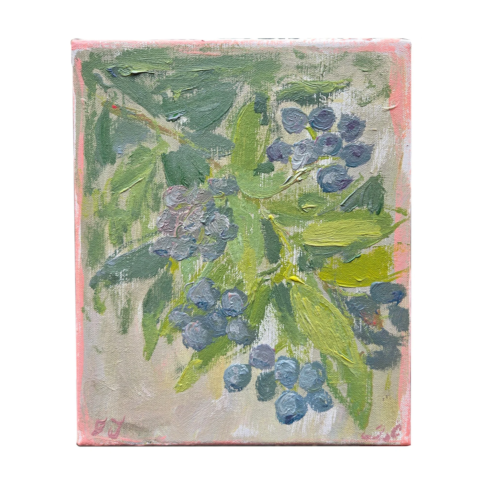 blueberrystudydaily.jpg